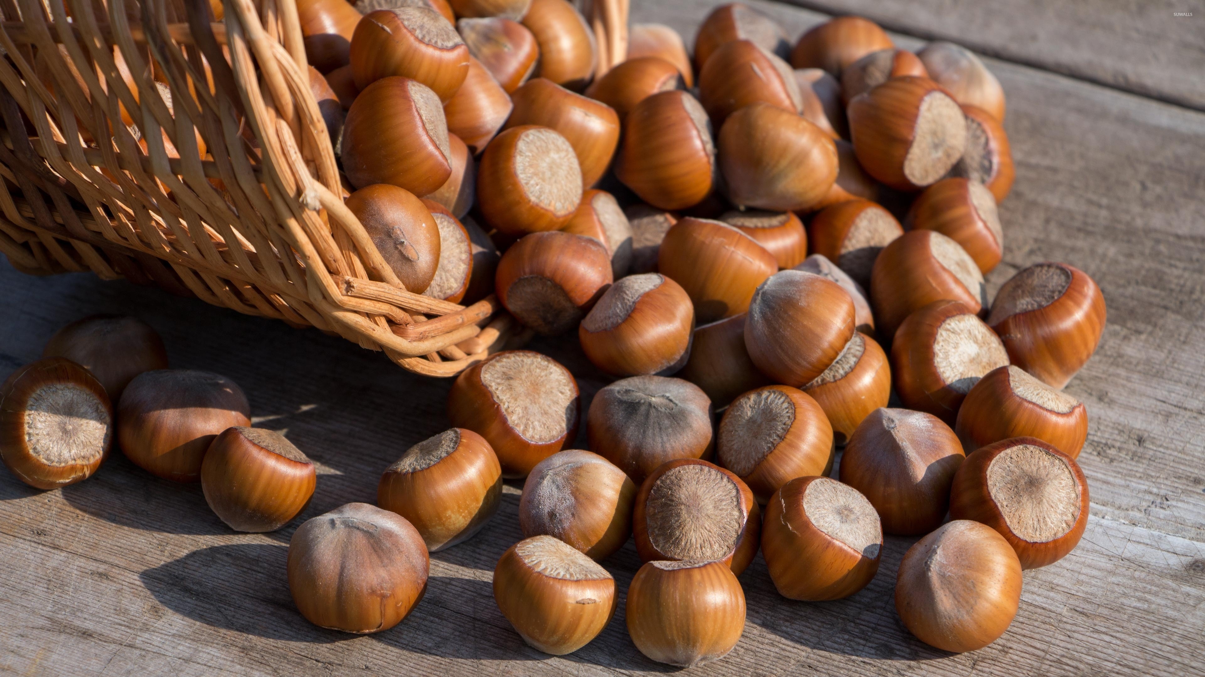 Hazelnuts: One of the richest sources of vitamin E, Used in dairy and confectionery items. 3840x2160 4K Wallpaper.