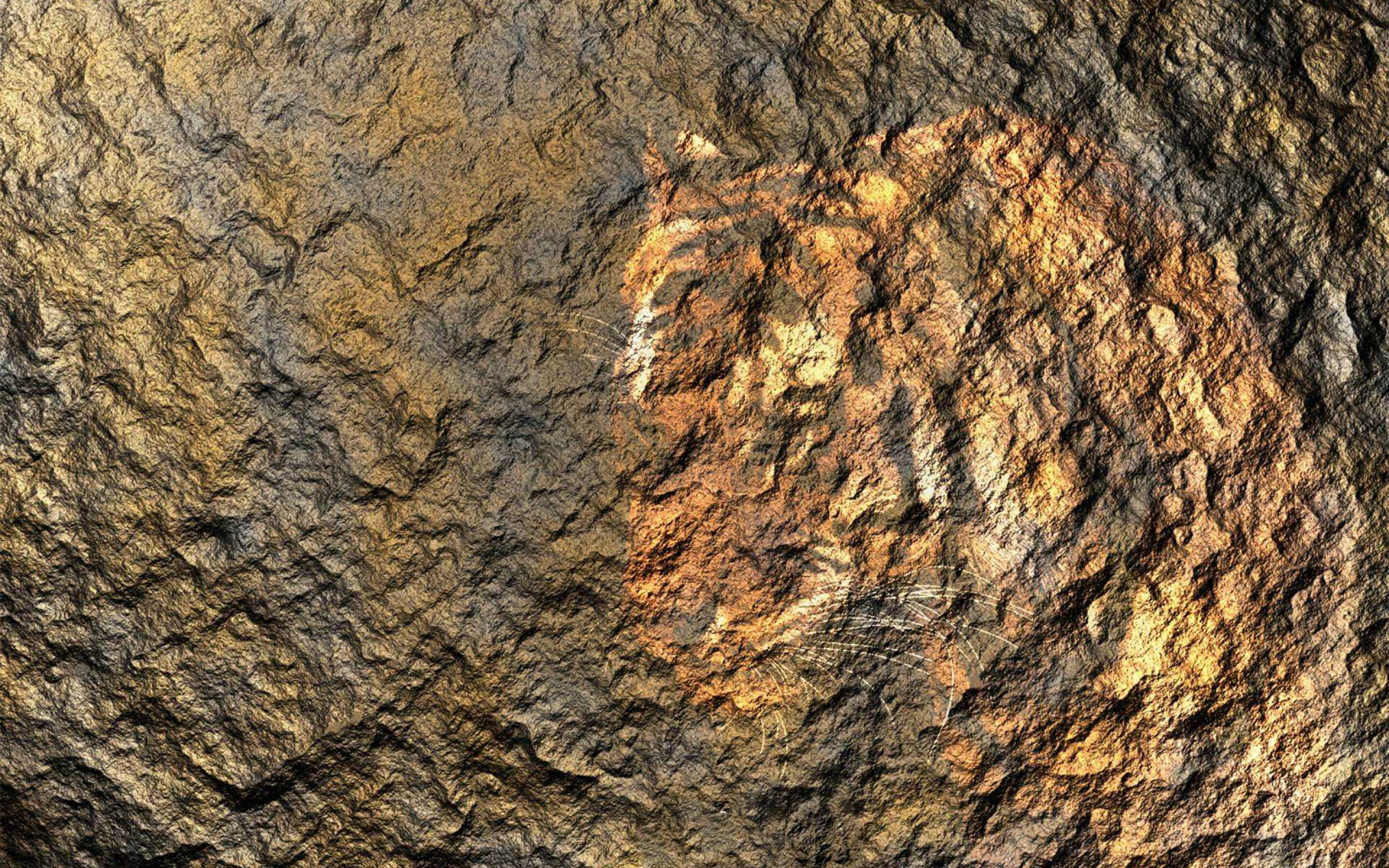 Geology: Tiger painting on the bumpy surface, Mountain wall, Outcrop. 2880x1800 HD Wallpaper.