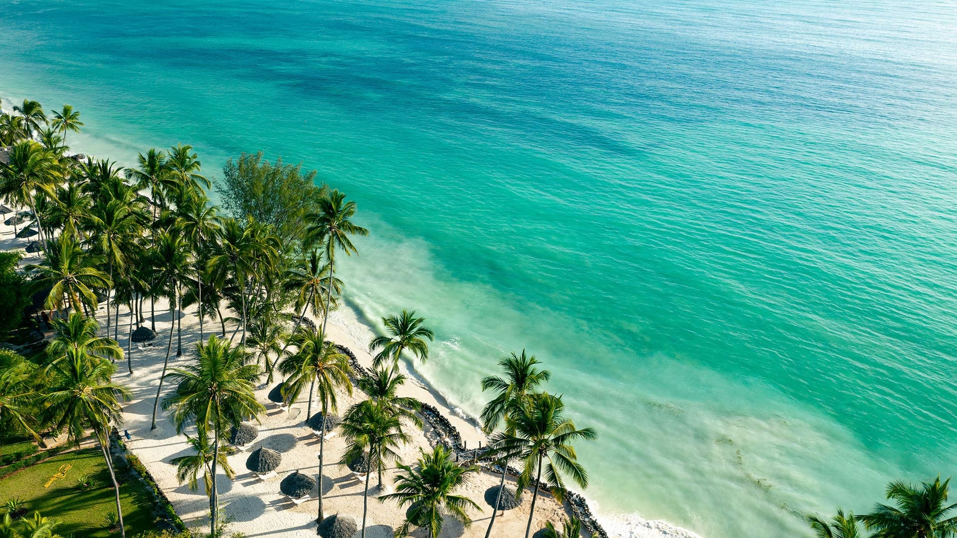 Best beaches, Zanzibar snorkelling, Tranquil swimming, Pure relaxation, 1920x1080 Full HD Desktop