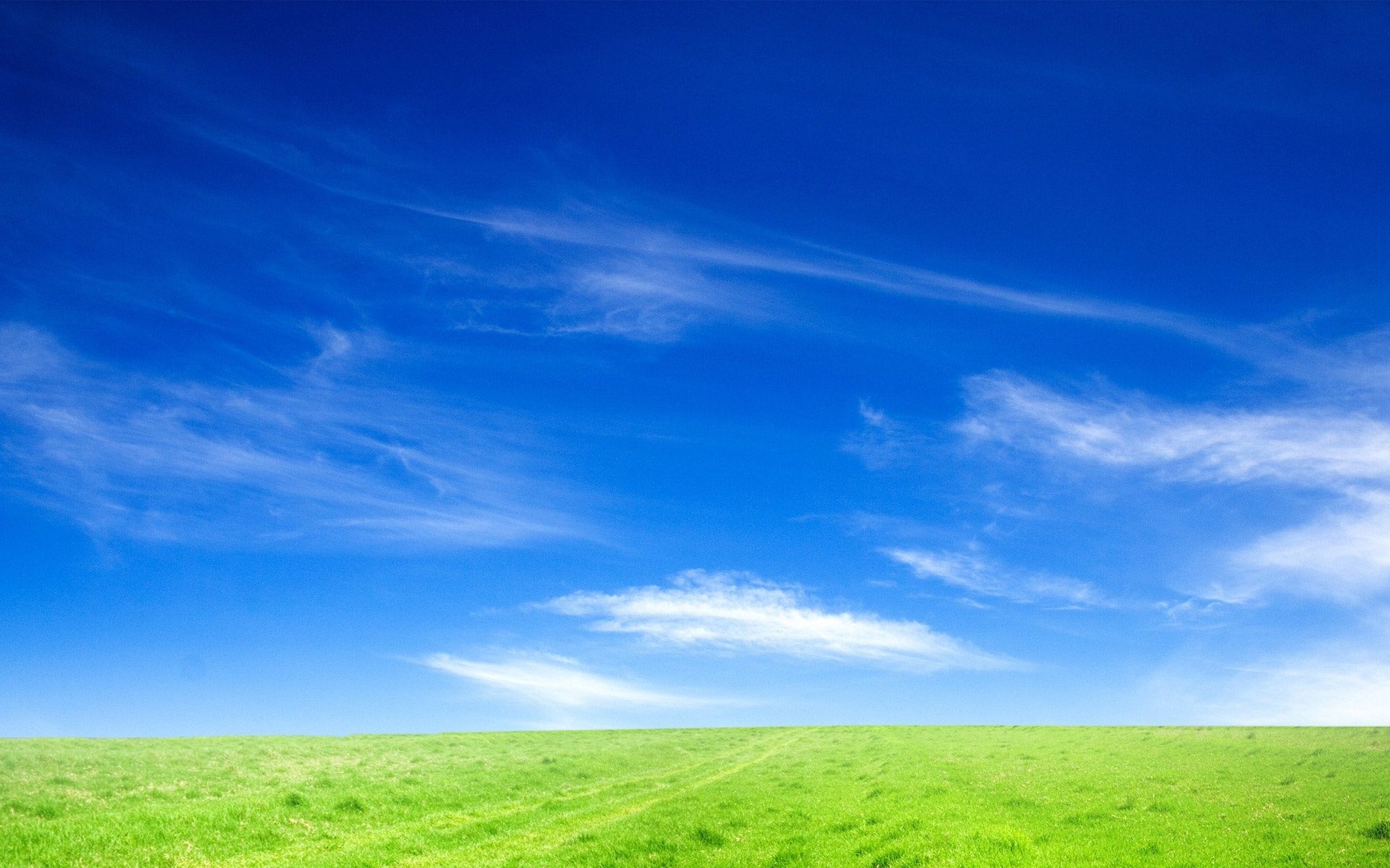 Grass and Sky: Horizon, Steppe, Countryside, Environment, Land, Landscape, Non-urban area. 1920x1200 HD Background.