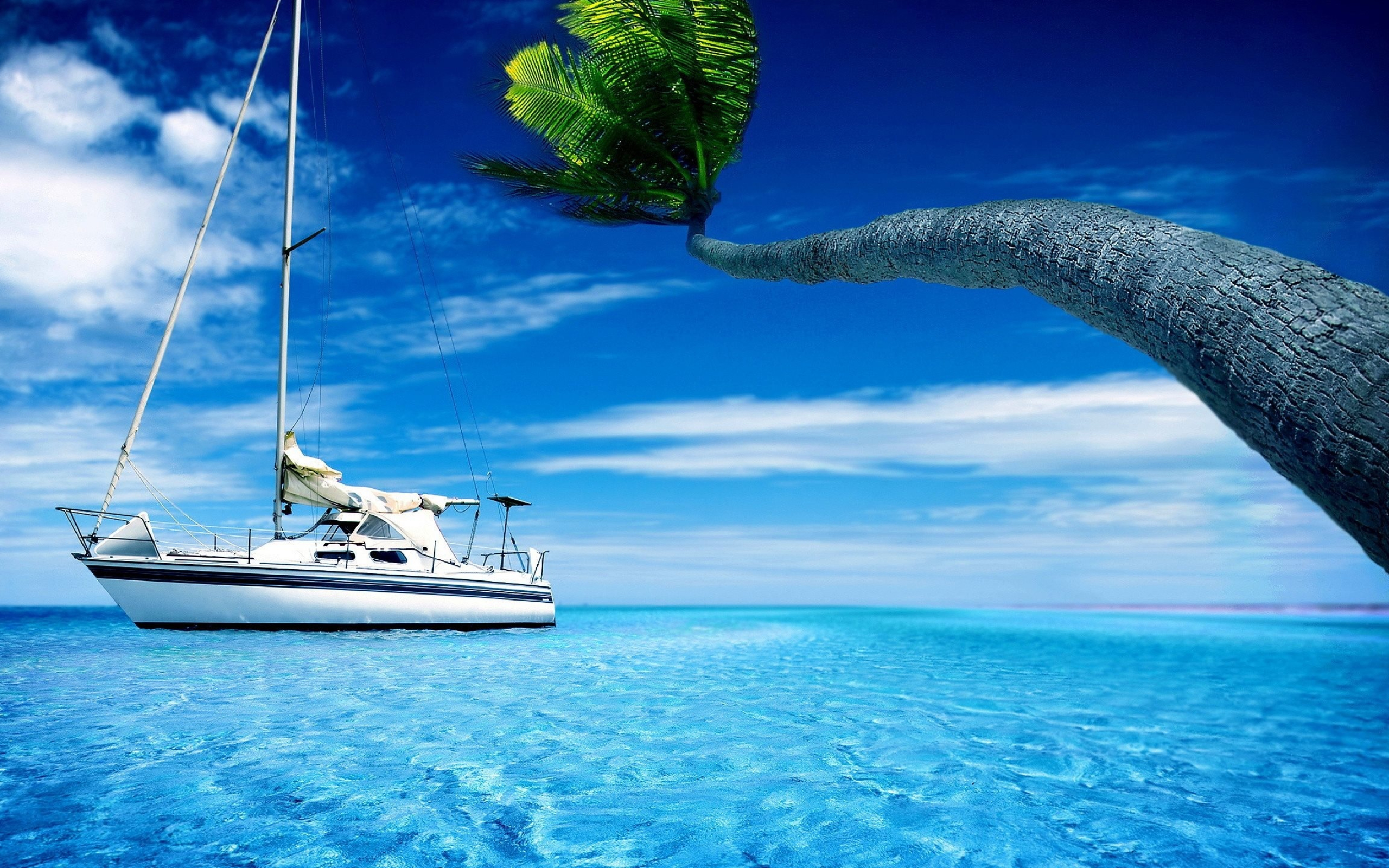 Sail Boat: A vessel propelled partly or entirely by sail, Blue-water cruising. 2560x1600 HD Wallpaper.