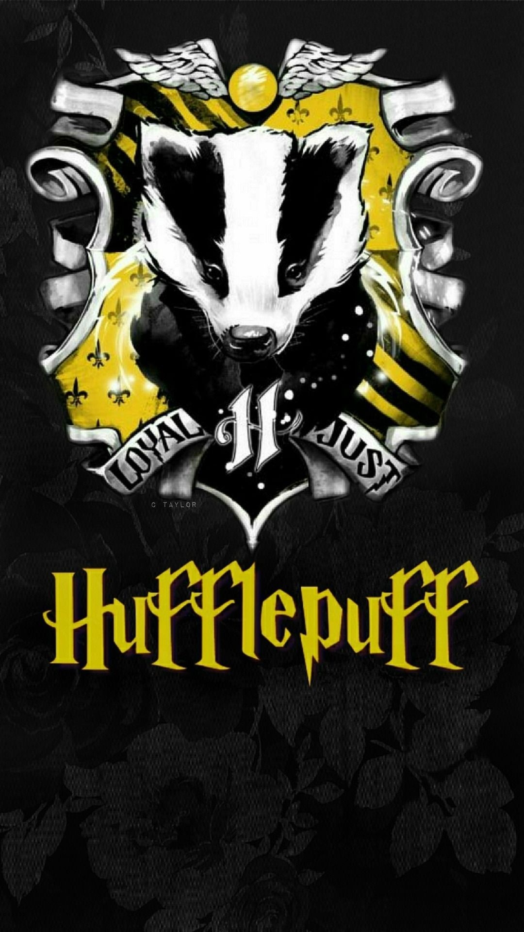 Hufflepuff wallpapers, House pride, Hogwarts houses, Magical atmosphere, 1080x1920 Full HD Phone