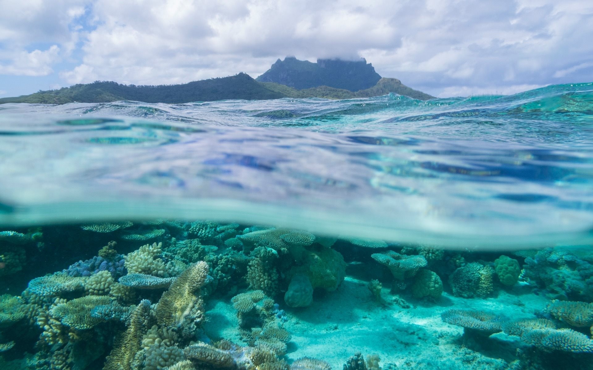 Bora Bora: Coral reef, Tropical island, Ocean, French Polynesia, Leeward Islands. 1920x1200 HD Wallpaper.
