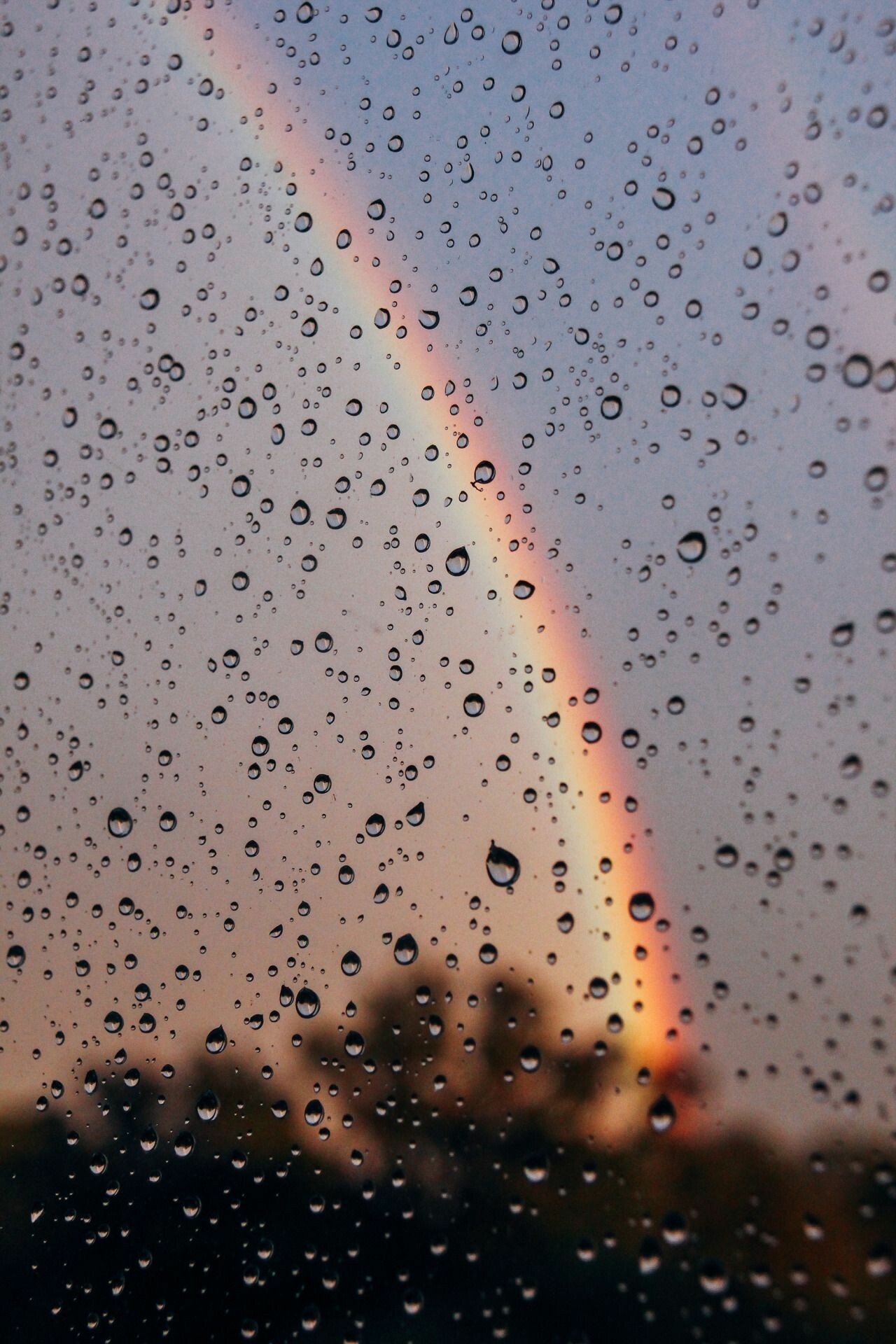 Rain: Water that falls from the sky in small drops, Rainbow. 1280x1920 HD Wallpaper.
