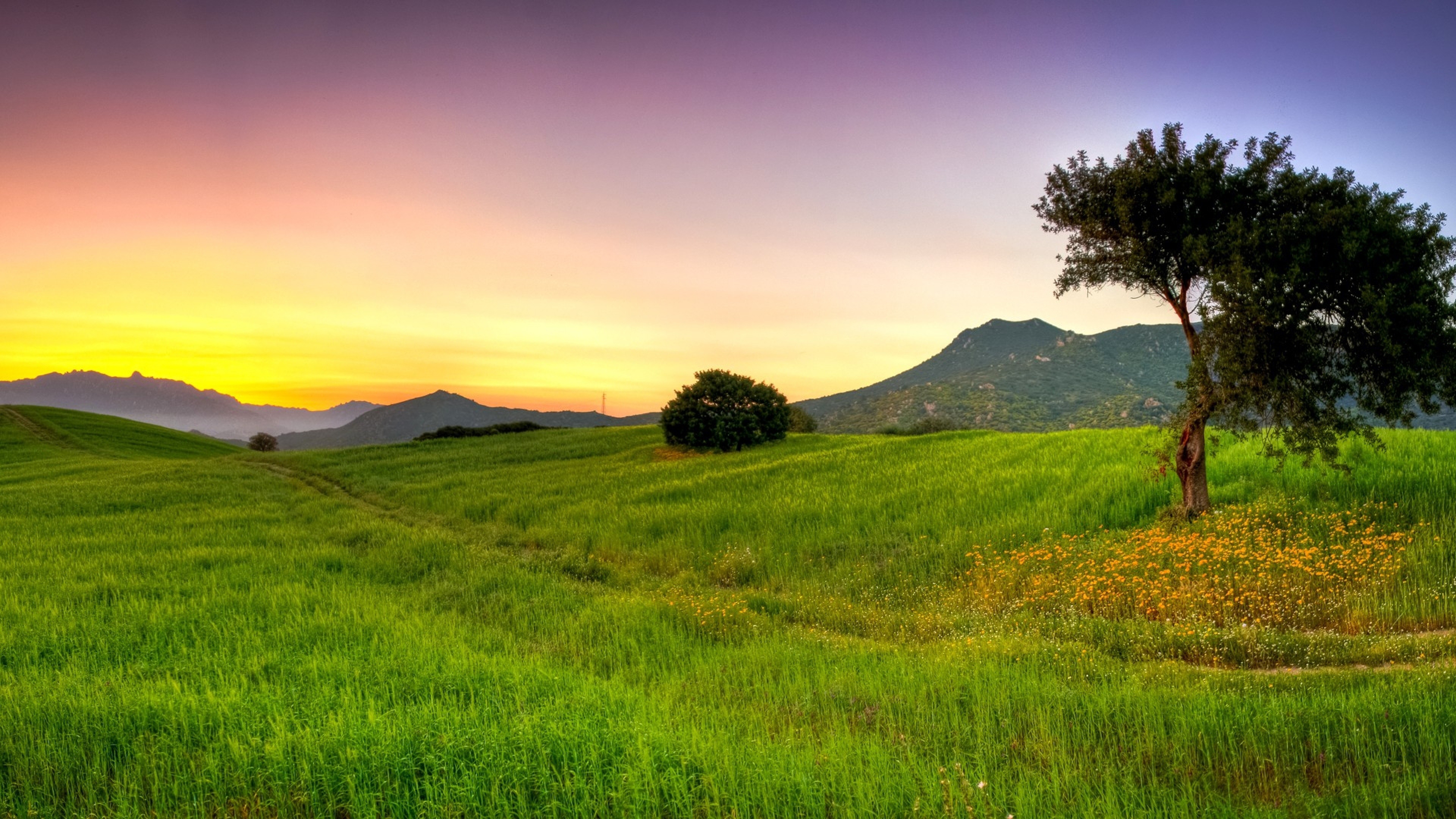 Nature grass beautiful light, 4K Ultra HD, Stunning backdrop, Supreme full, 3840x2160 4K Desktop