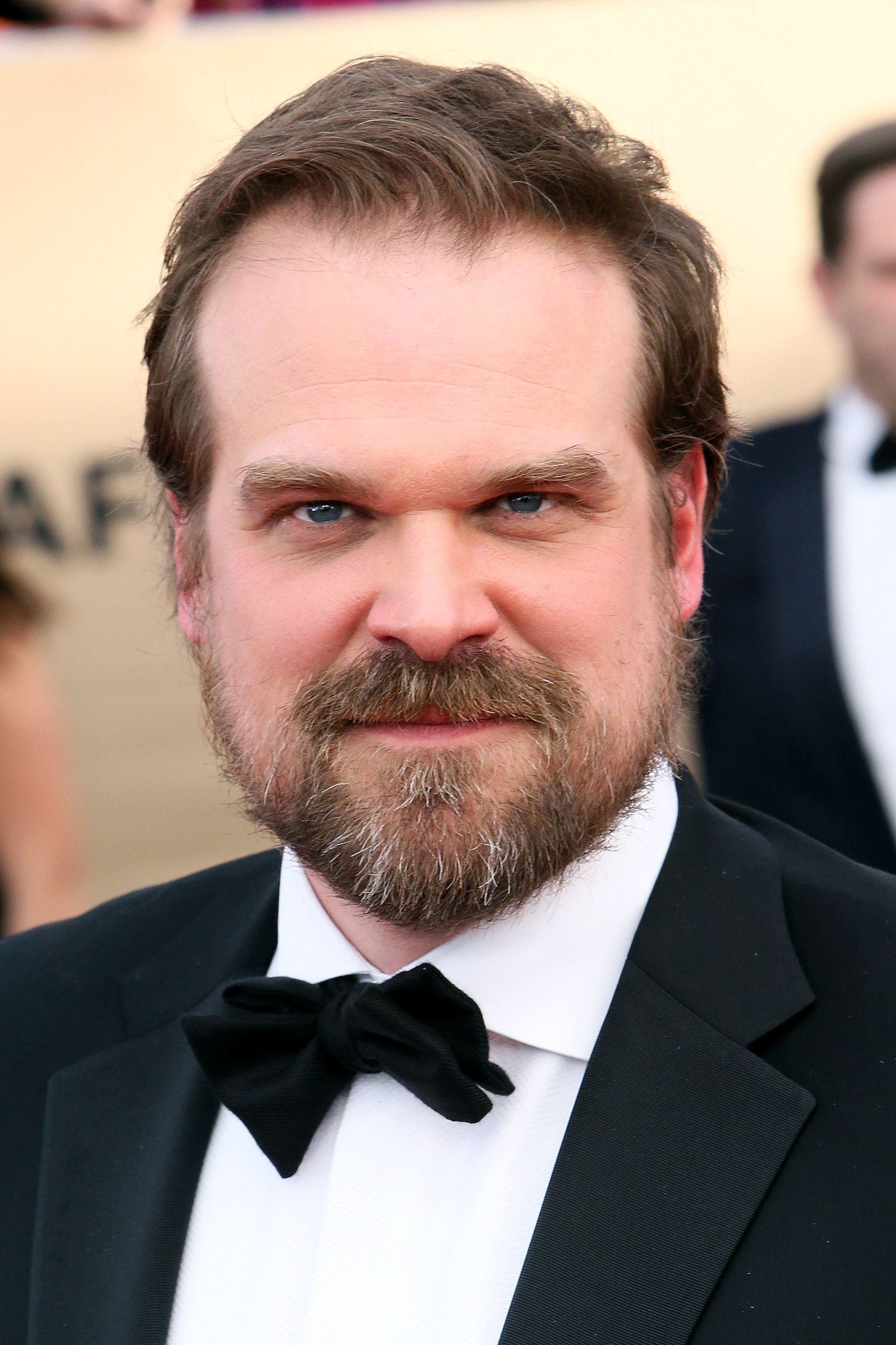David Harbour, Movie roles, Talented actor, Celebrity, 1800x2700 HD Phone