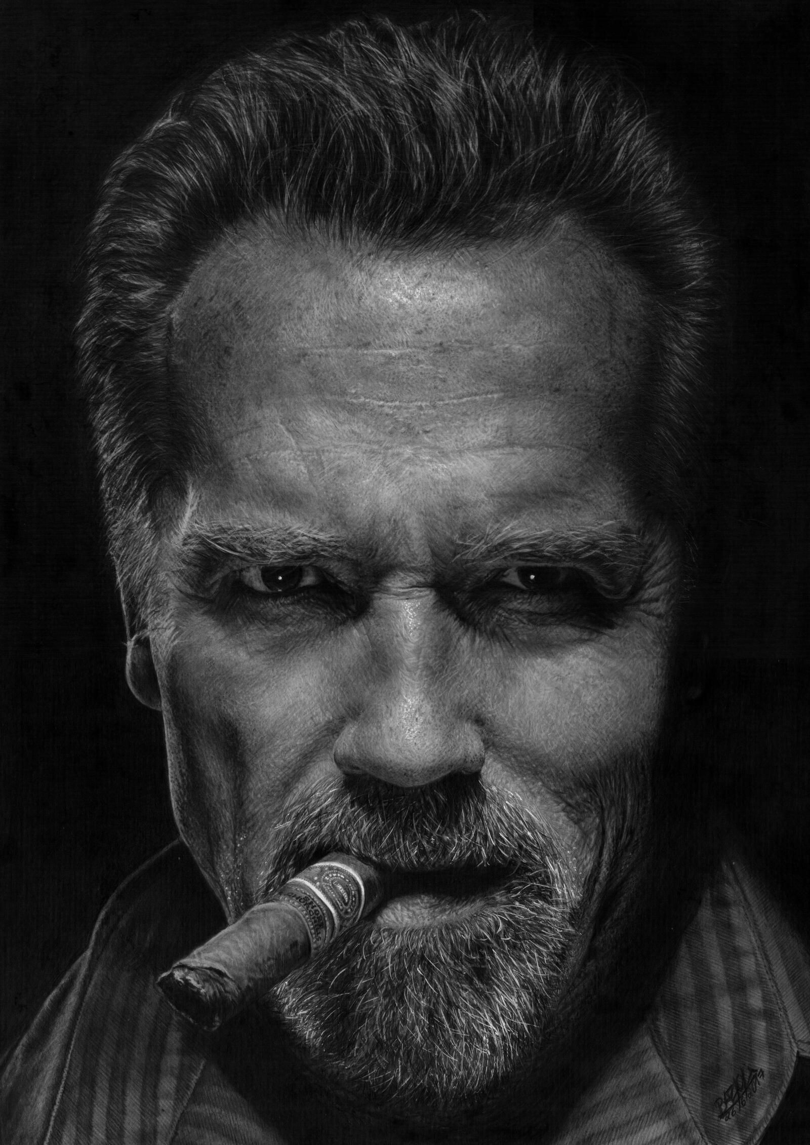 Arnold Schwarzenegger, Escape Plan, Bazoli's artwork, Striking portrait, 1600x2270 HD Phone