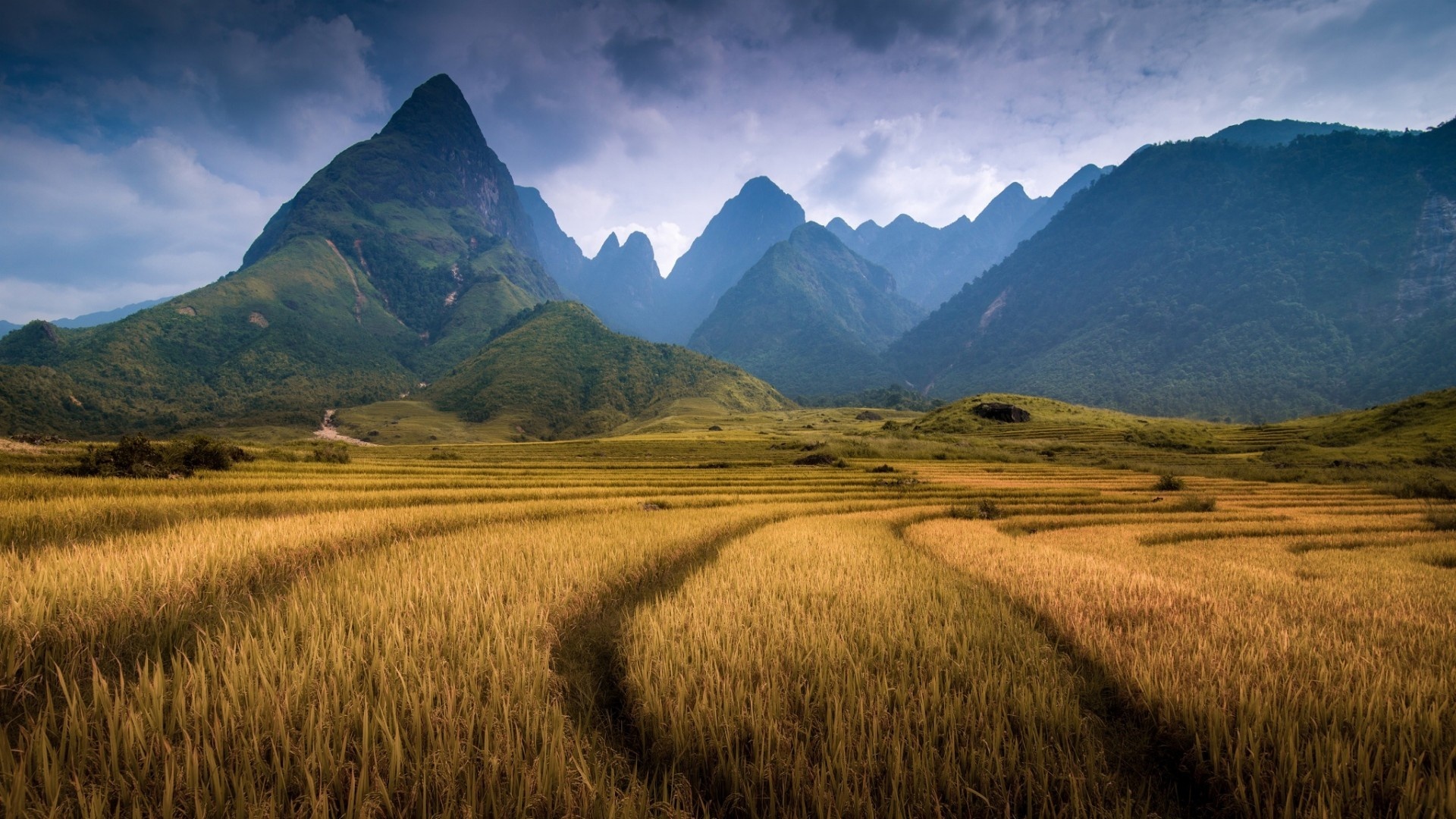 Mountains of Vietnam, Fansipan splendor, Nature's grandeur, Spectacular peaks, 1920x1080 Full HD Desktop