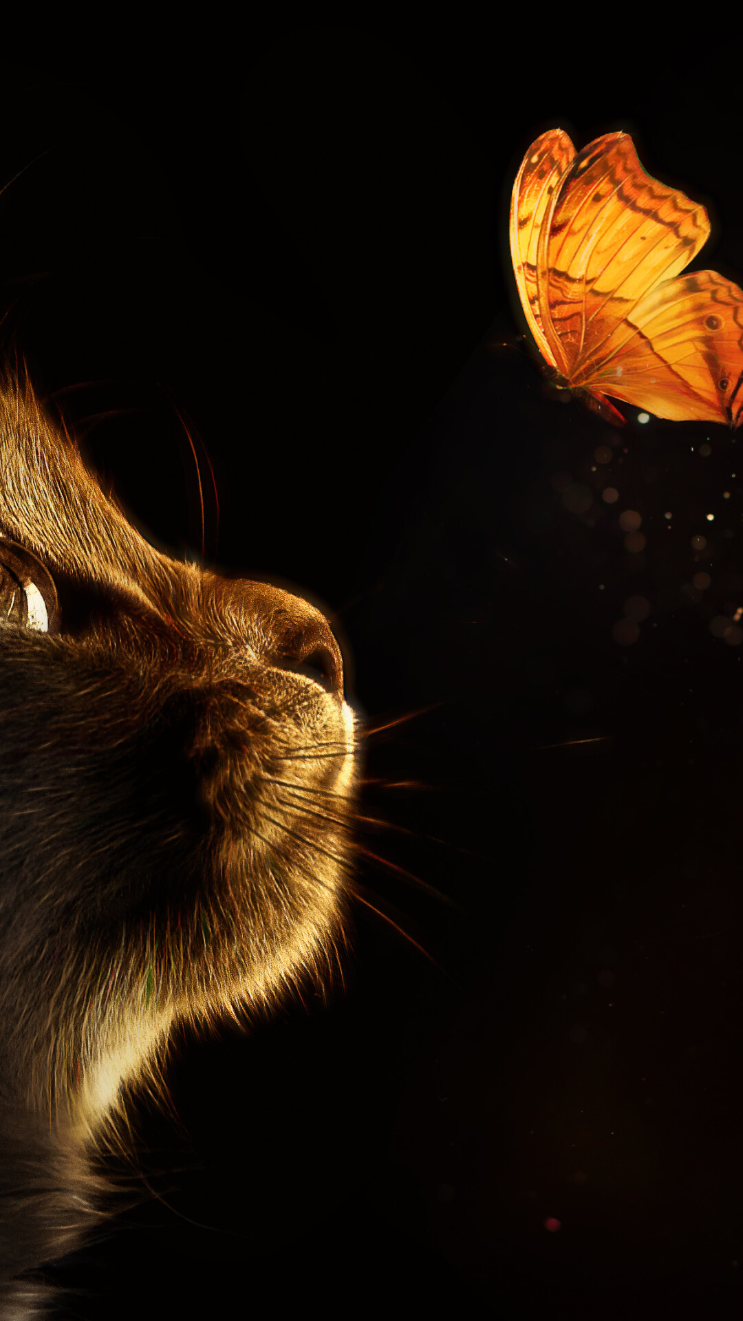 Kitten cat butterflies, Black background, Glowing beauty, Mesmerizing visuals, 1080x1920 Full HD Phone