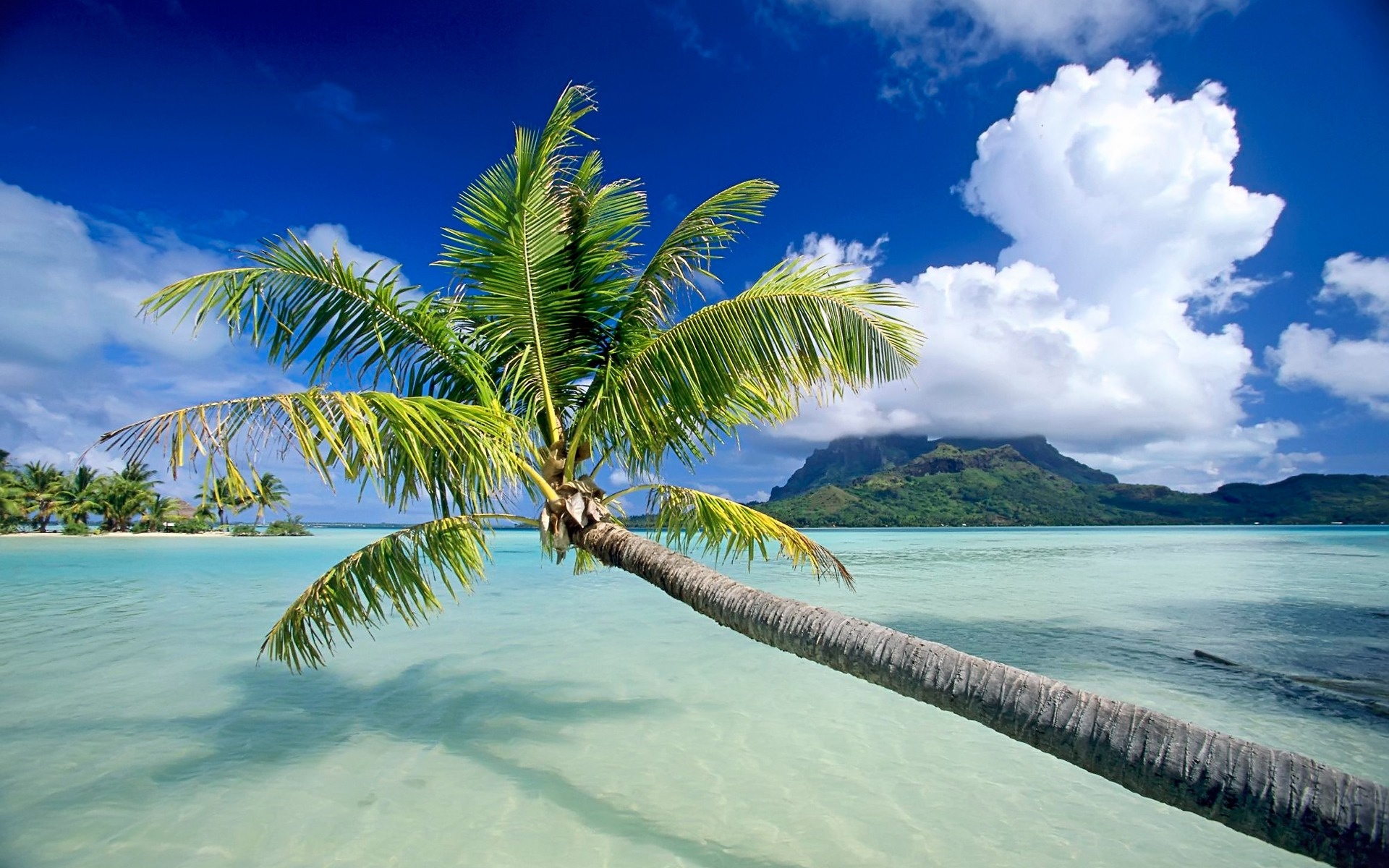 Bora Bora: Known as the ‘Pearl of the Pacific’, Tropical beach. 1920x1200 HD Background.