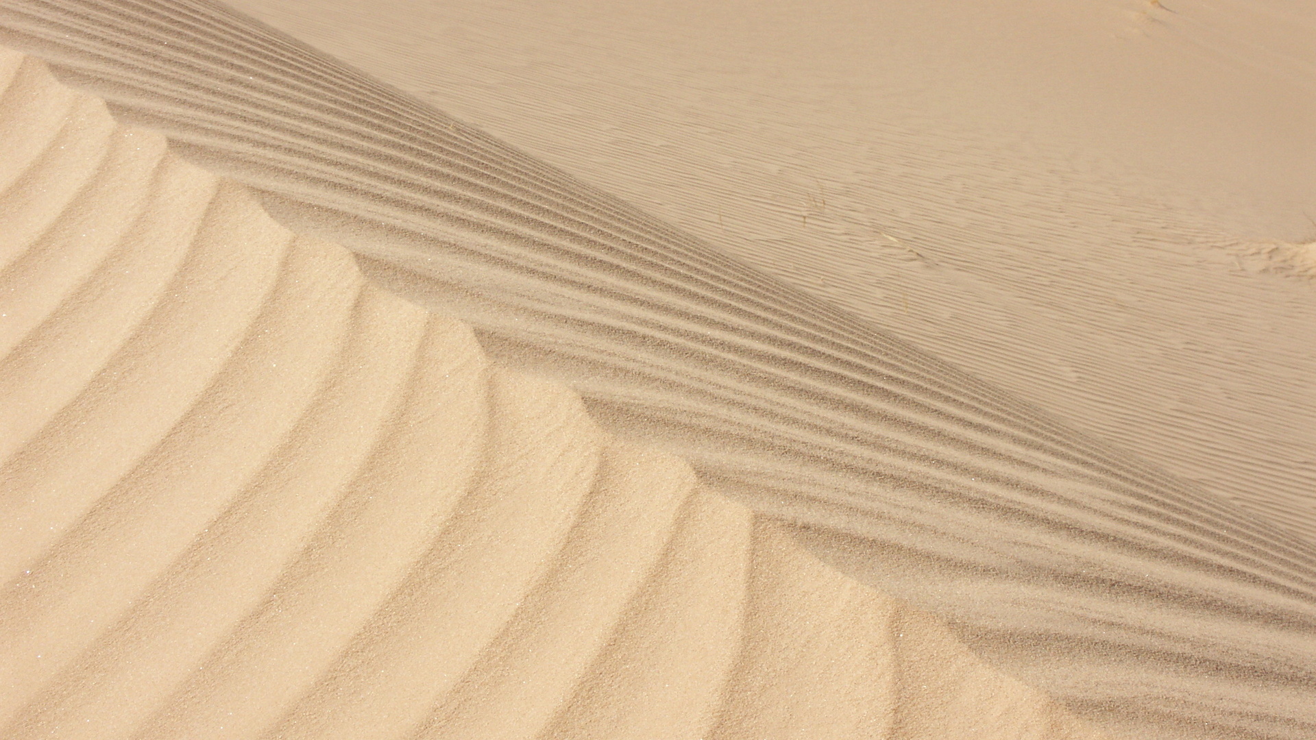 Sand dunes Algeria, Laptop full HD, 1920x1080 Full HD Desktop