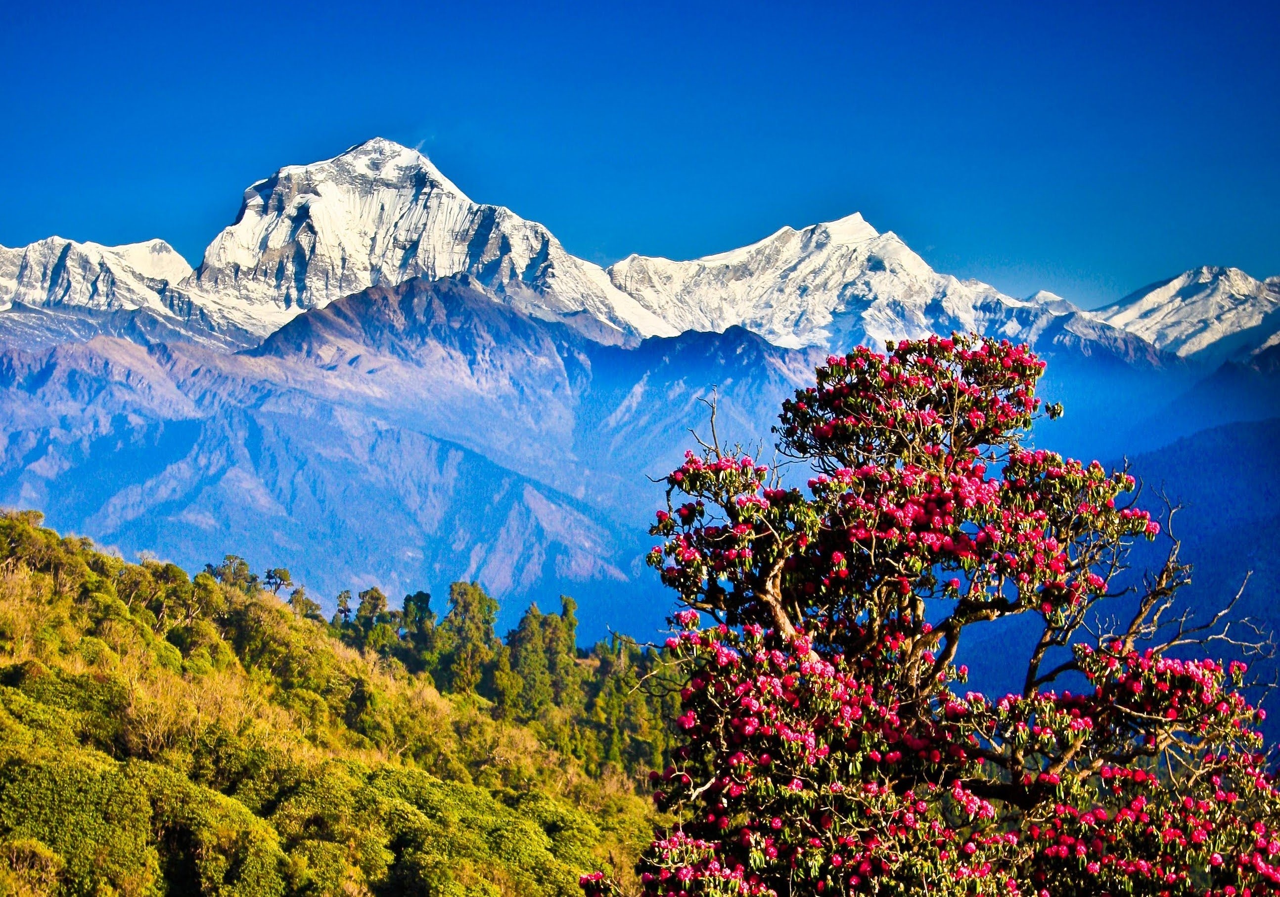 Nepal Visa Everest, Mountaineering permits, Summit aspirations, Himalayan expeditions, 2590x1820 HD Desktop