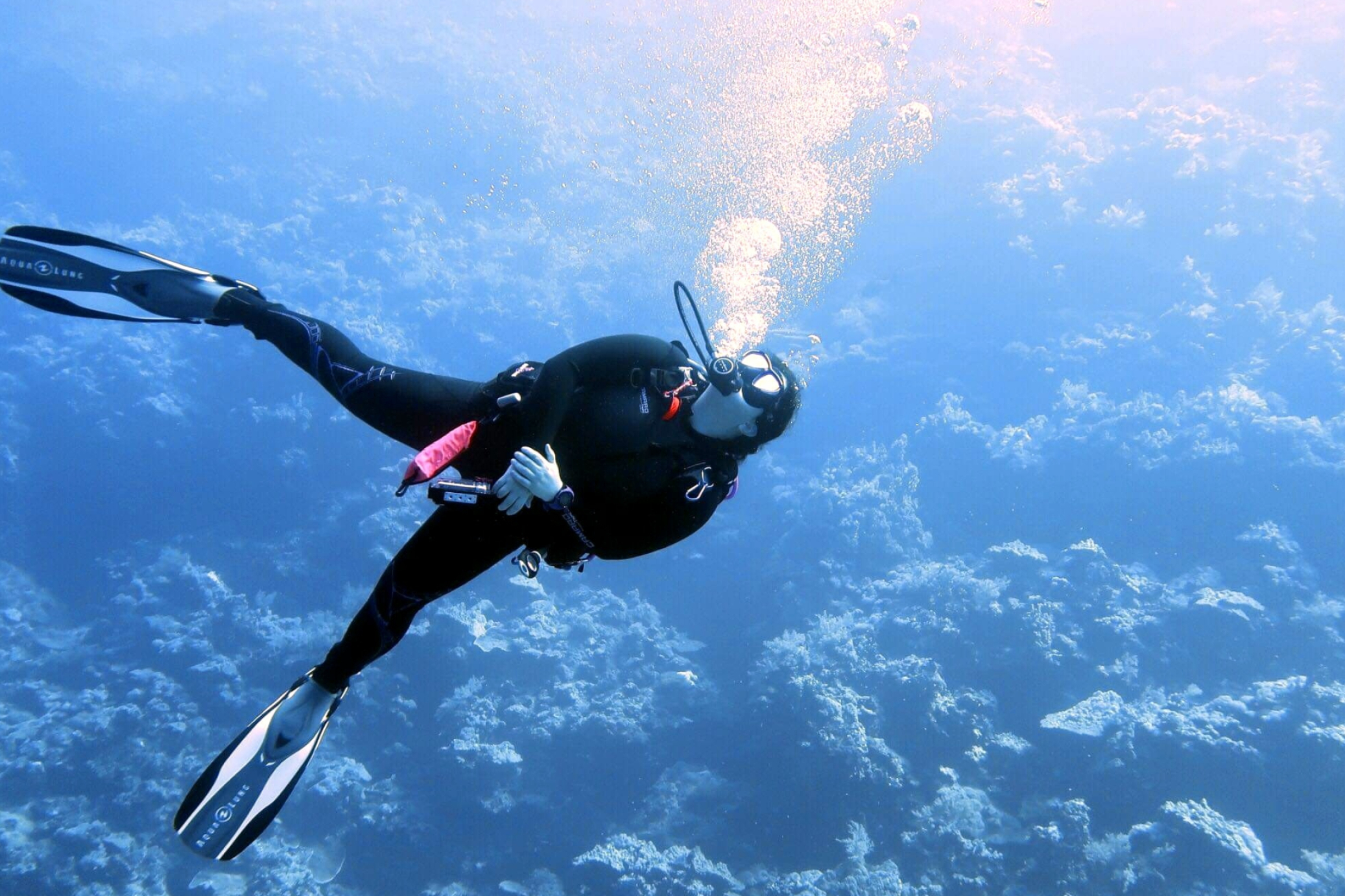 Scuba Diving: Underwater safari - a popular type of adventurous recreational activity. 2400x1600 HD Background.