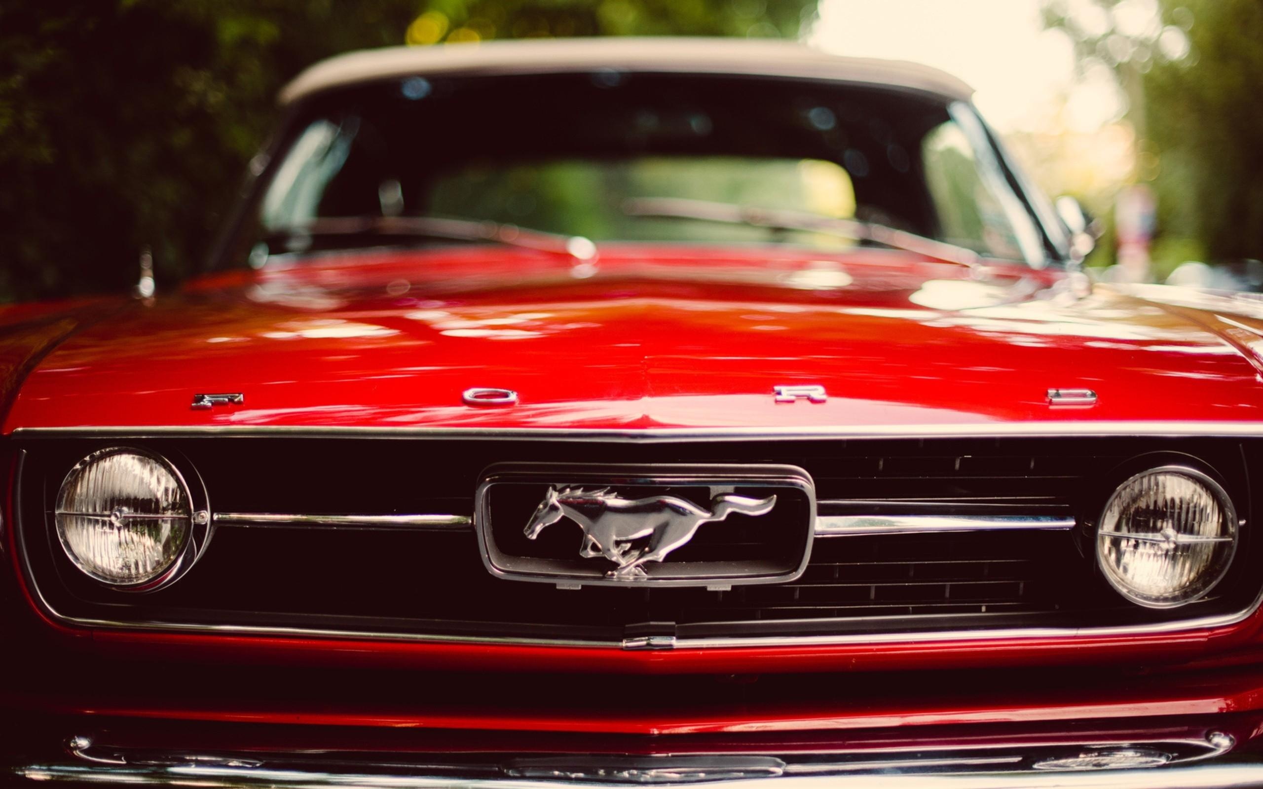 Ford Mustang, Vibrant red, Sports car, High definition, Fastback design, 2560x1600 HD Desktop