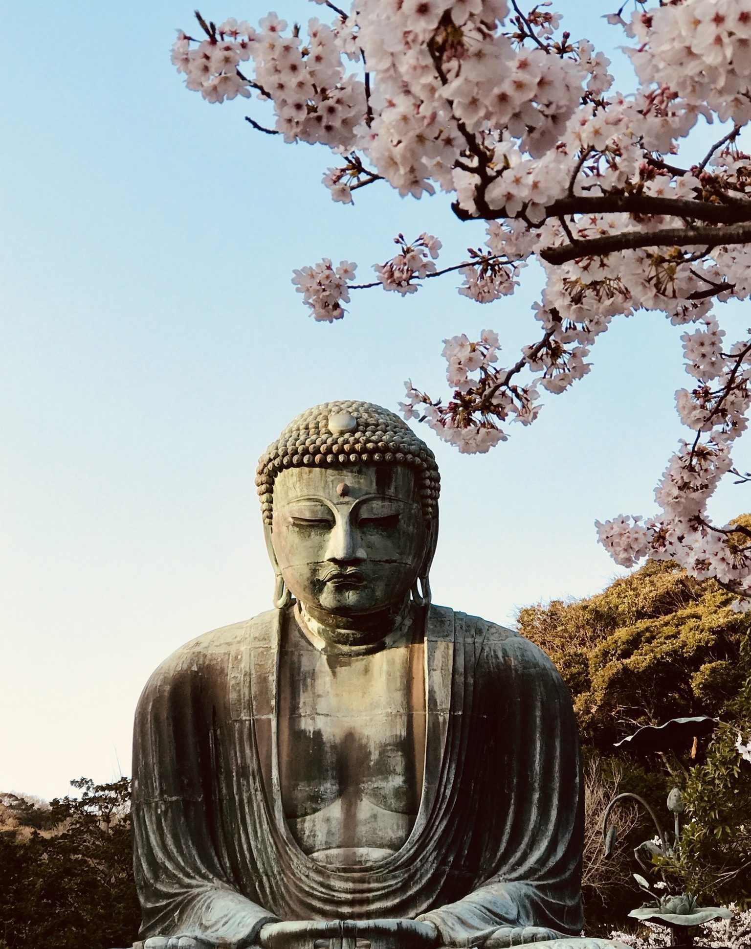 Great Buddha of Kamakura, Serene meditation, Historical landmark, Sacred site, 1540x1940 HD Phone