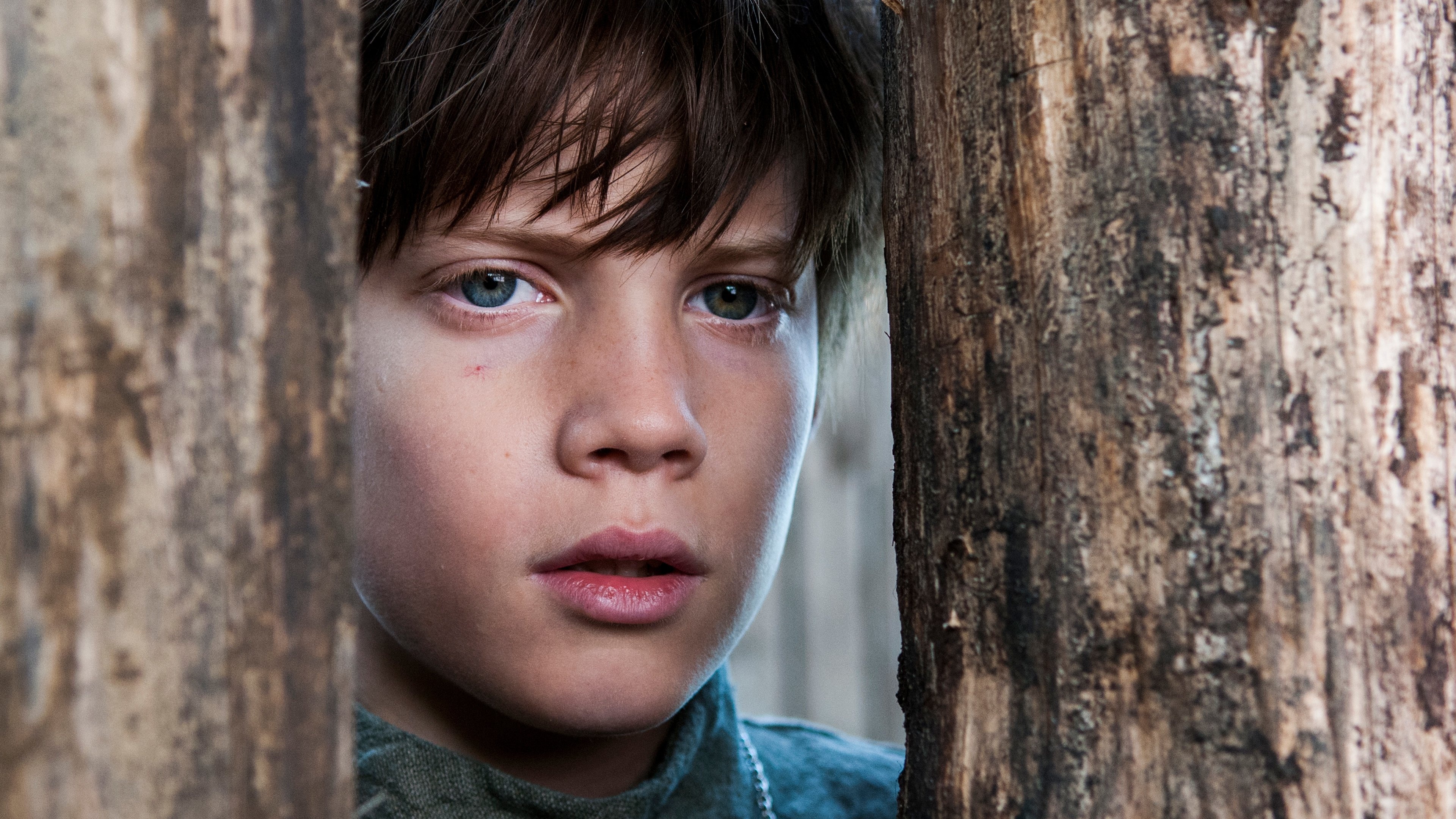 The Last Kingdom (TV Series): Tom Tailor, portraying the young Uhred. 3840x2160 4K Background.
