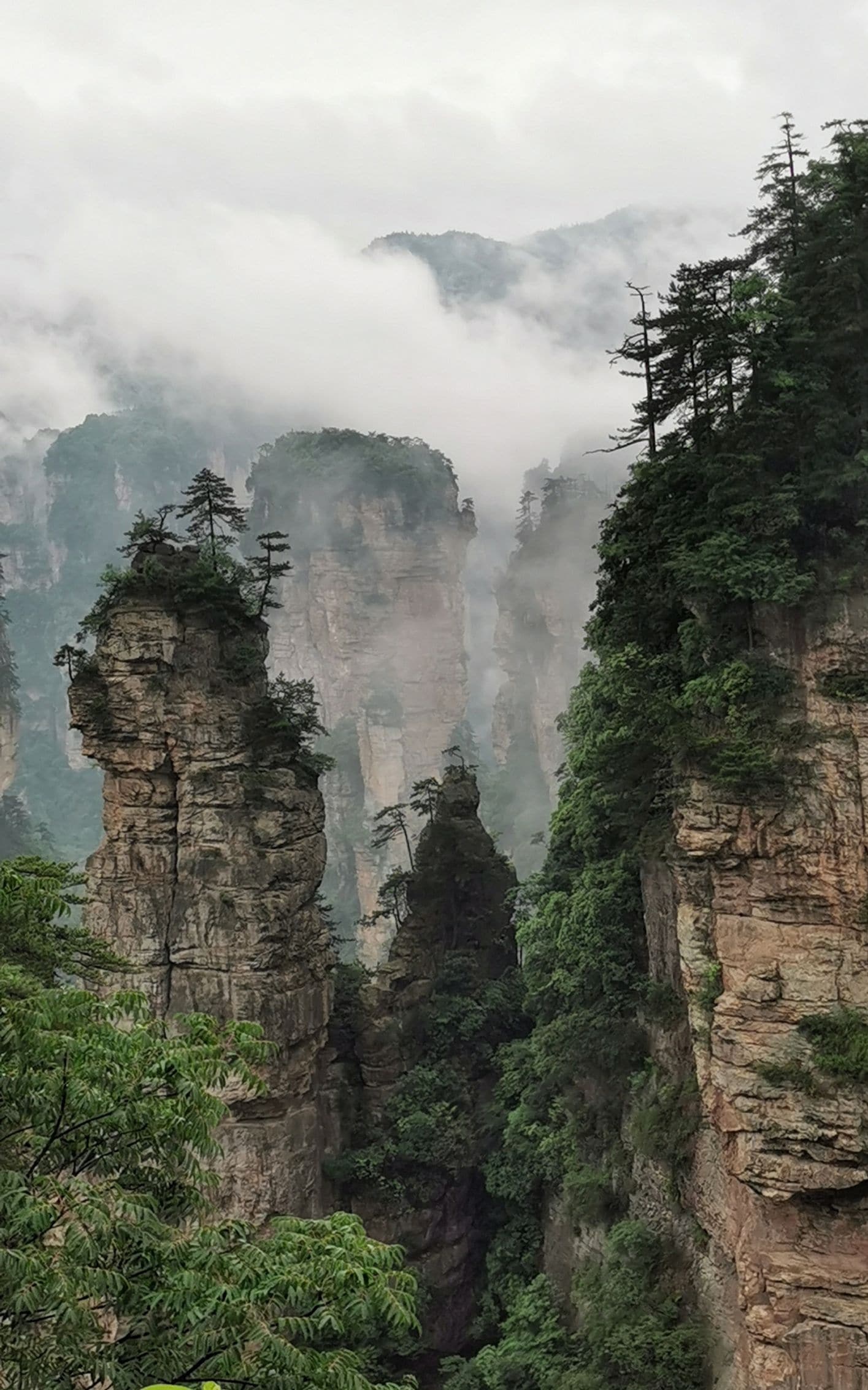 Zhangjiajie National Forest Park, Scenic attractions, Ticket information, Transportation details, 1420x2270 HD Handy
