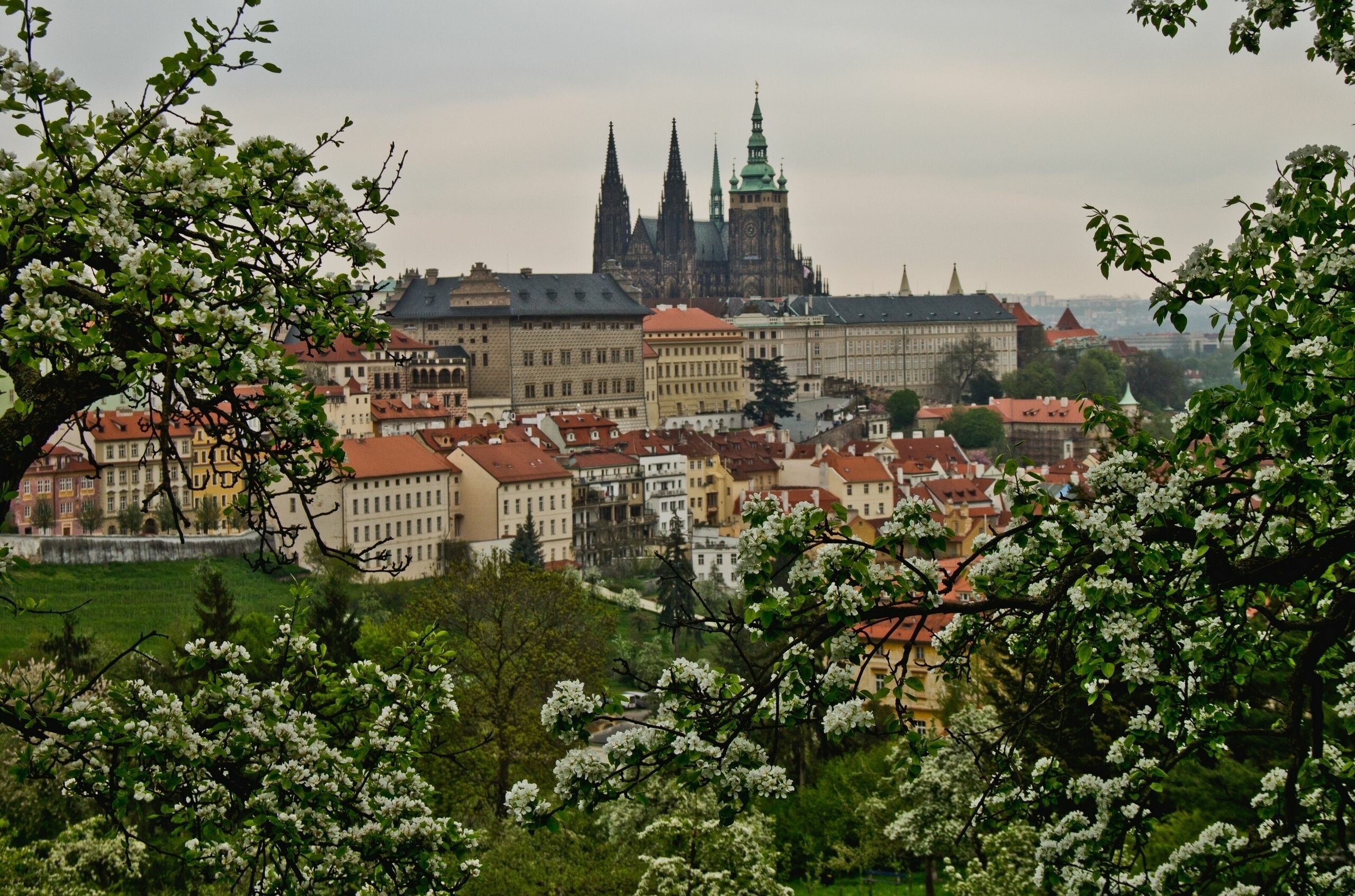 Prague Castle, HD wallpapers, PC and mobile, Free download, 2560x1700 HD Desktop