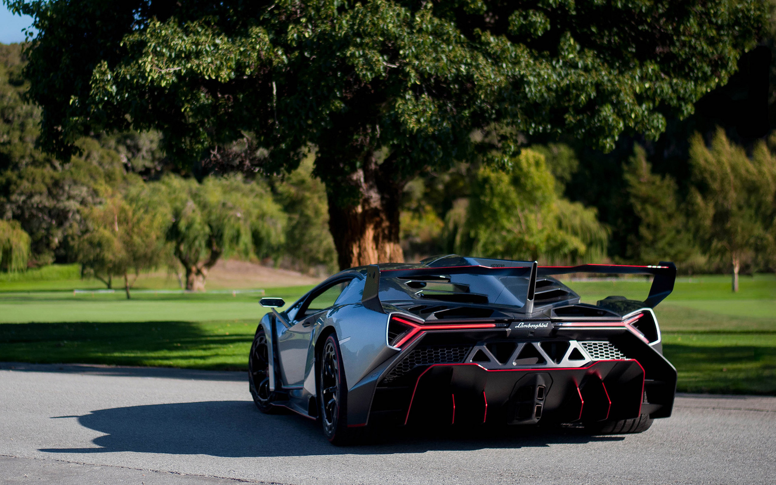 Lamborghini Veneno, Automotive elegance, Stunning wallpapers, Timeless beauty, 2560x1600 HD Desktop