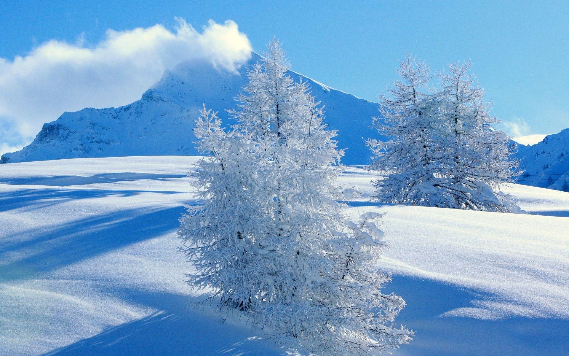 Snow HD Wallpapers 1920x1200