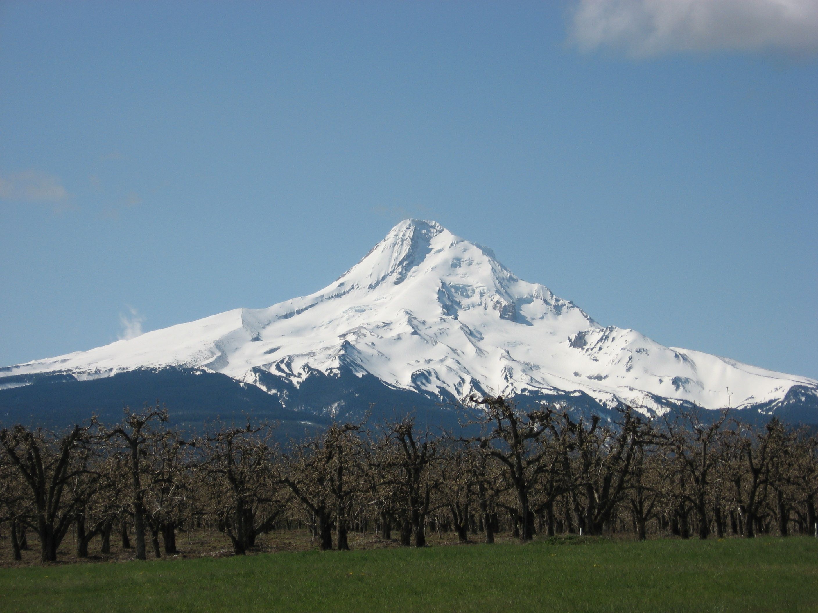 Mount Hood, Oregon's natural beauty, Scenic landscapes, Majestic mountains, 2820x2120 HD Desktop