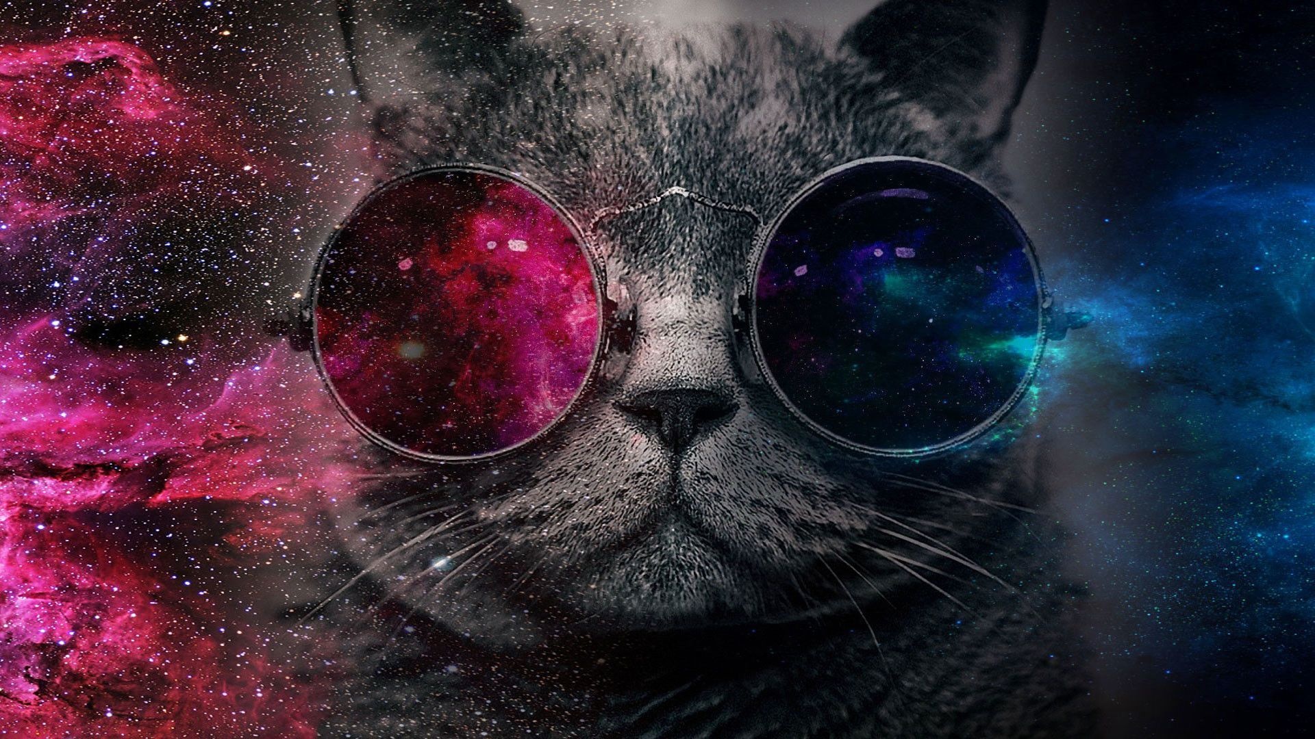 Обложки для вк профиля 1920х640. Кот в очках. Космический кот. Крутые коты в очках. Кот с очками космос.