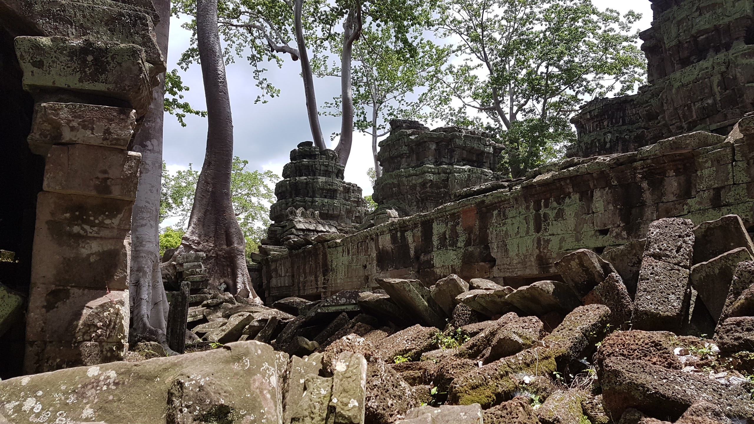 Ta Prohm temple, Angkor Siem Reap, Tomb Raider, Cambodian history, 2560x1440 HD Desktop
