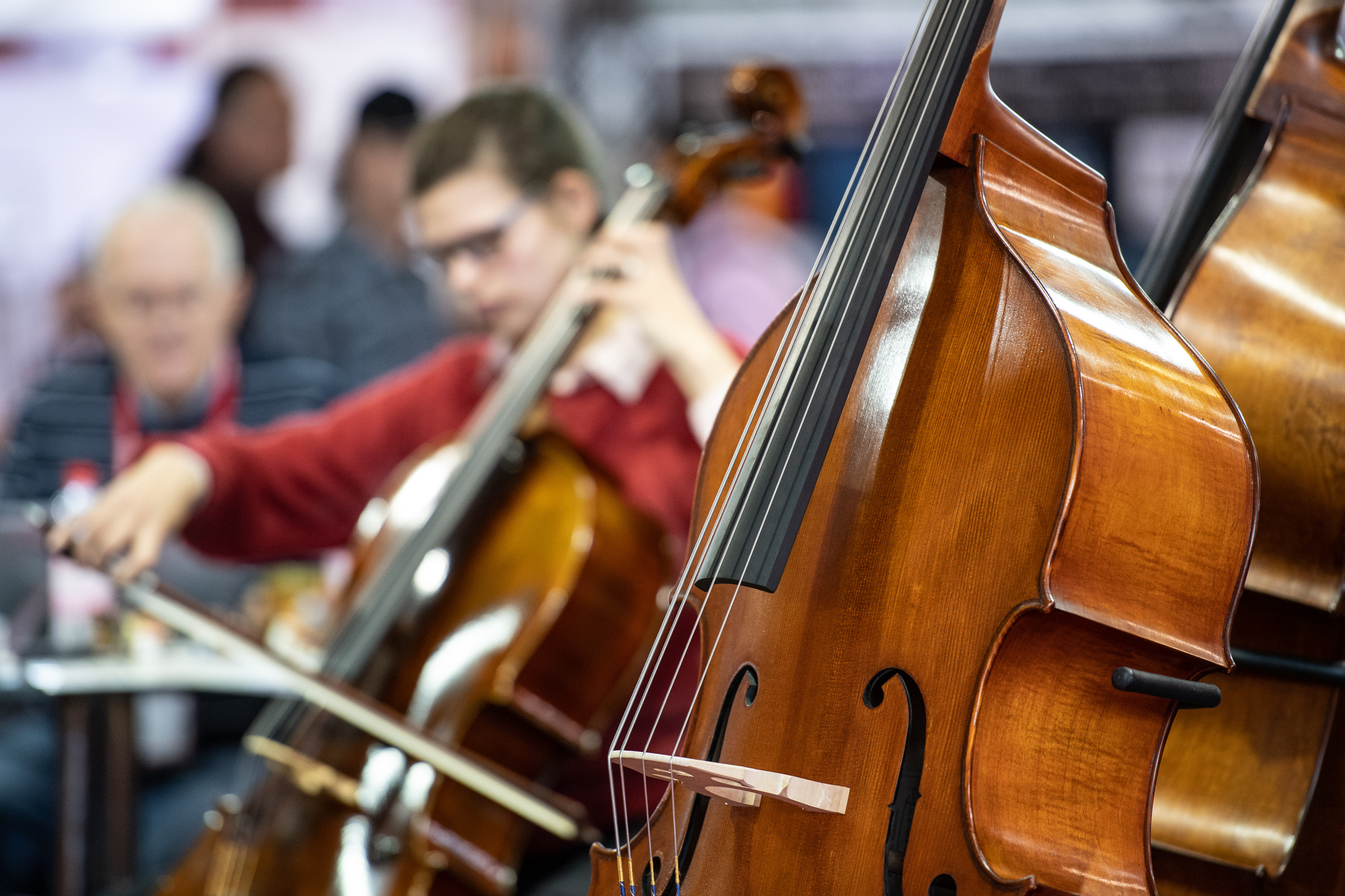 Double Bass: Symphony Orchestra Rehearsal, A Transposing Instrument. 2310x1540 HD Background.