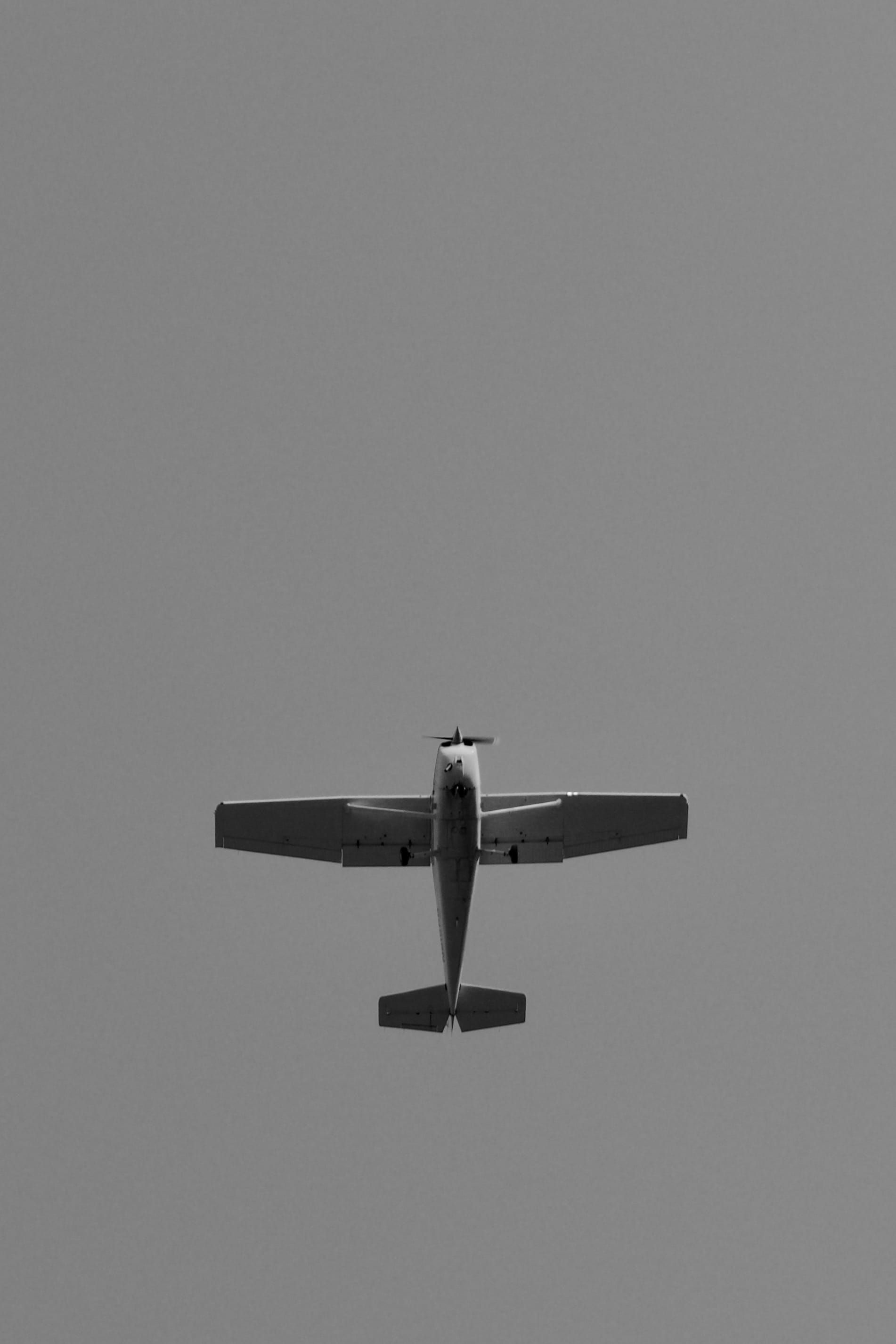 Cessna 172, Travels, Animal Bird, Flying, 1910x2860 HD Phone