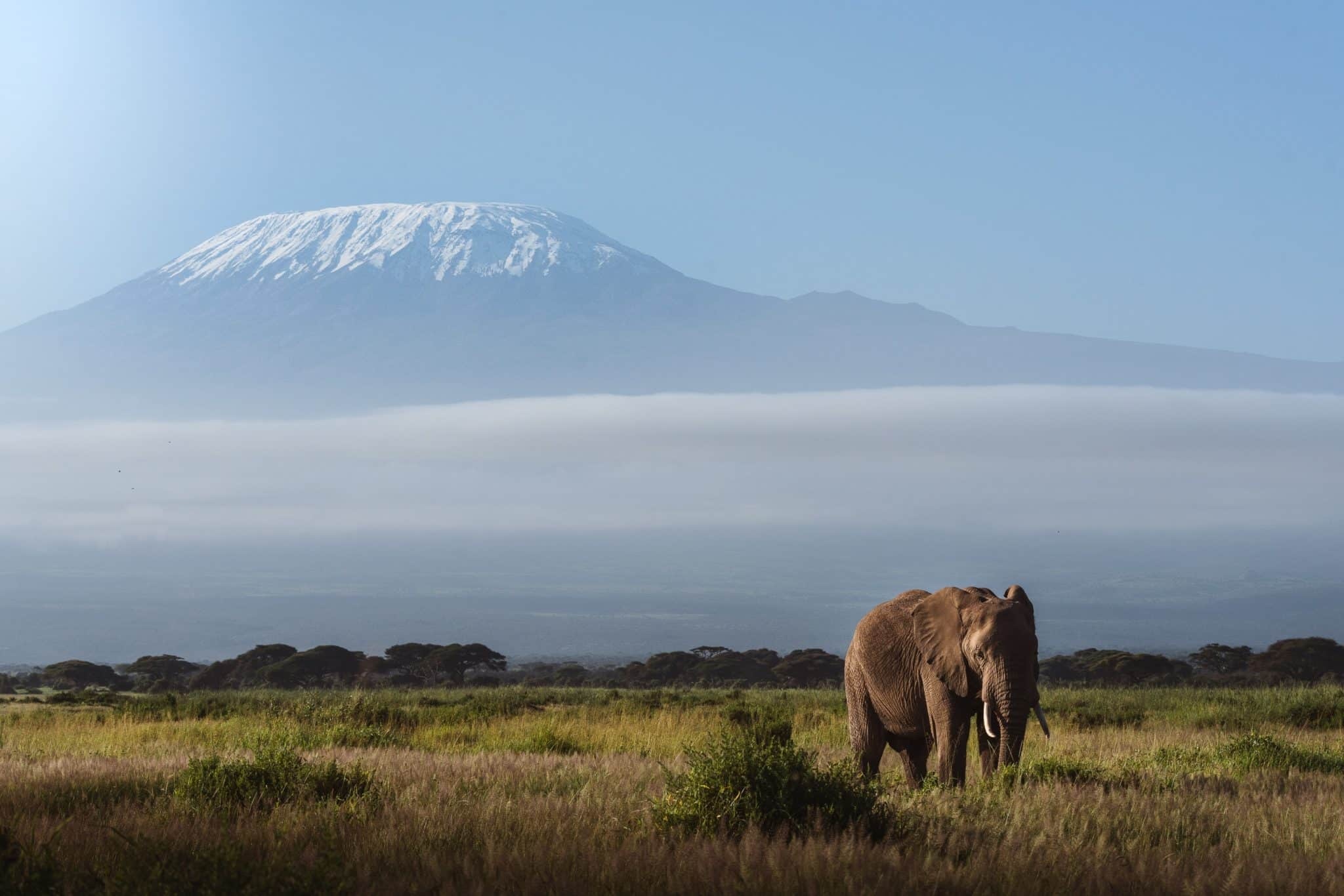 Mount Kilimanjaro, Preservation efforts, Majestic beauty, Trekking adventure, 2050x1370 HD Desktop