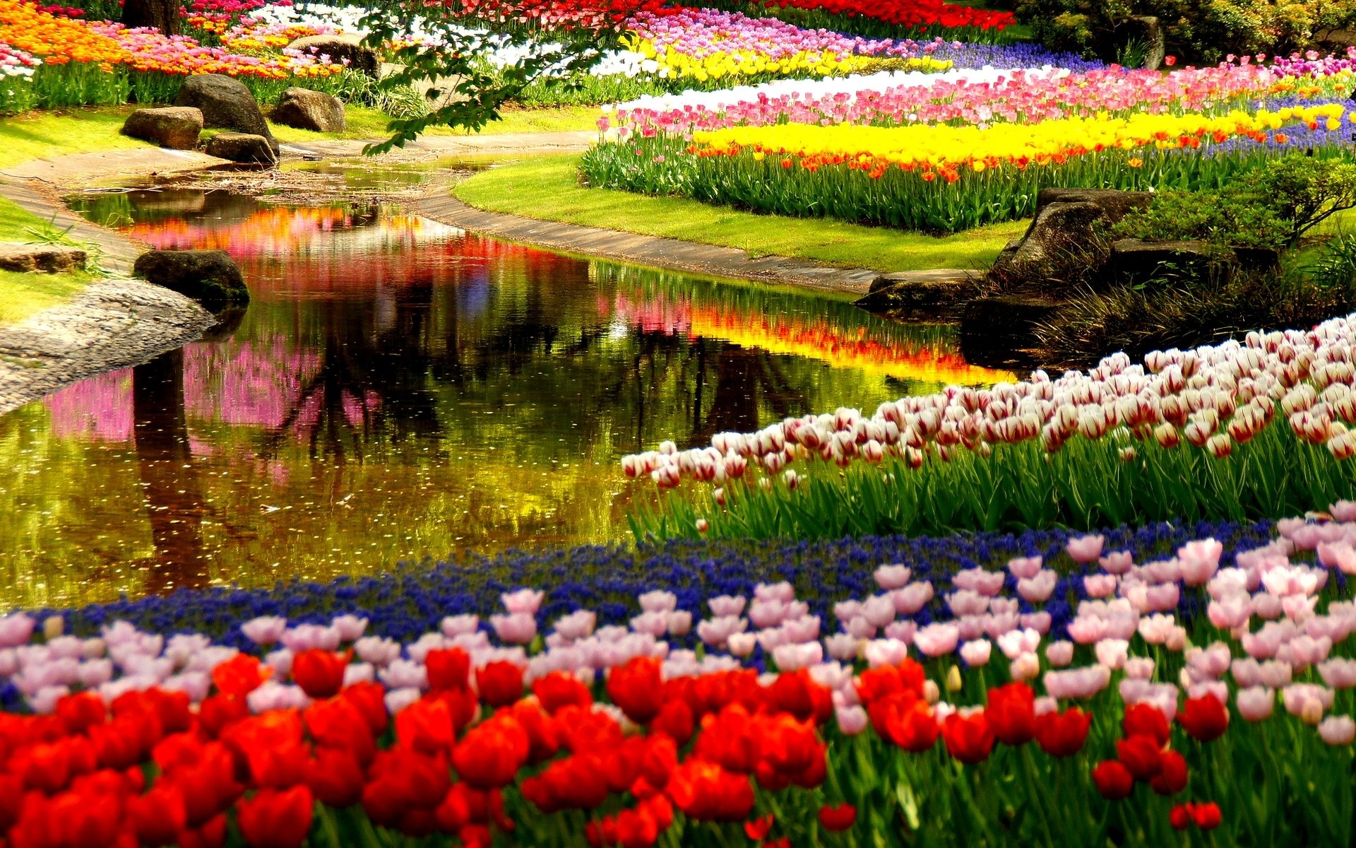 HD flower garden, Stunning beauty, Fine details, Aesthetic wallpaper, 1920x1200 HD Desktop