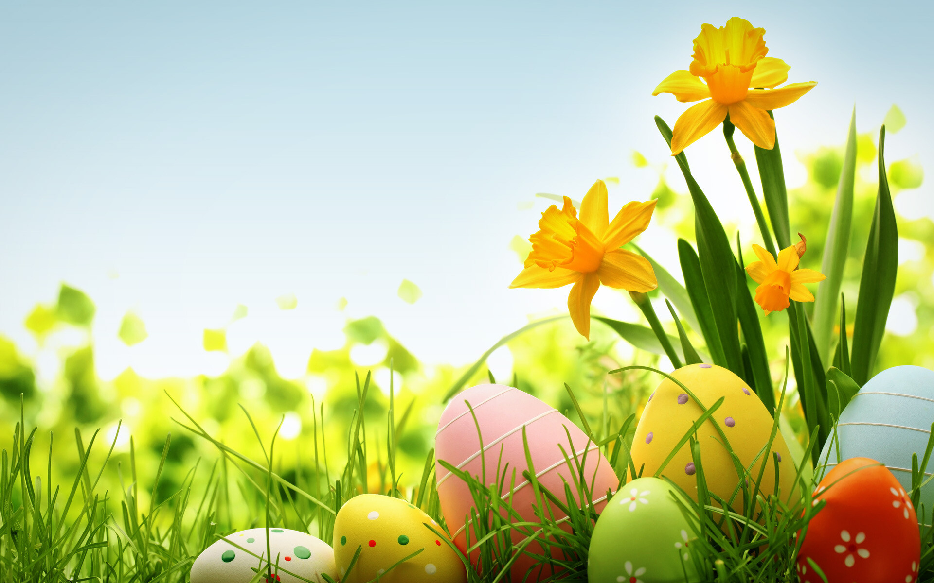 Easter: Decorating eggs was traditionally a symbol of the empty tomb. 1920x1200 HD Wallpaper.