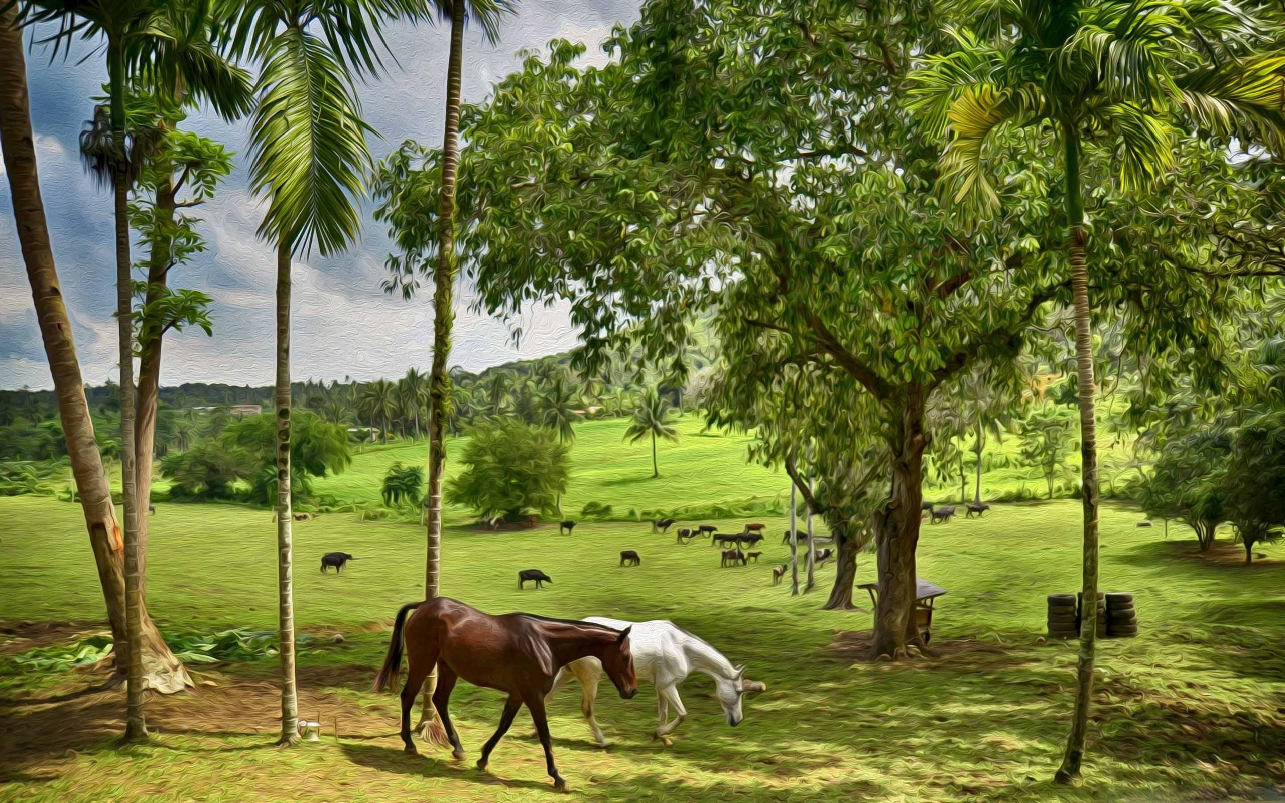 Happy farm, MacBook Air wallpaper, Natural beauty, Farm landscape, 2560x1600 HD Desktop
