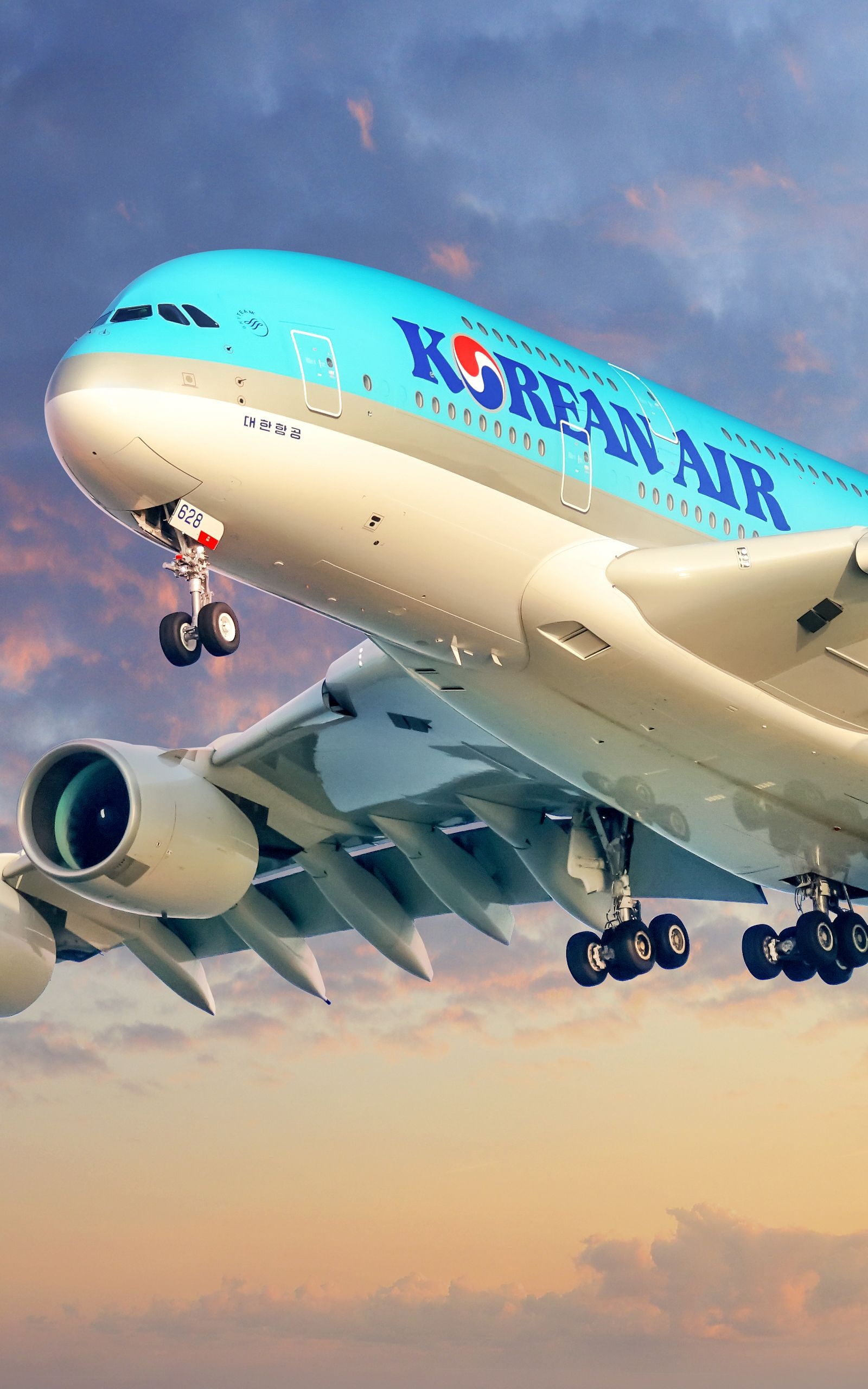 Korean Air, In-flight comfort, Premium travel experience, World-class hospitality, 1600x2560 HD Handy