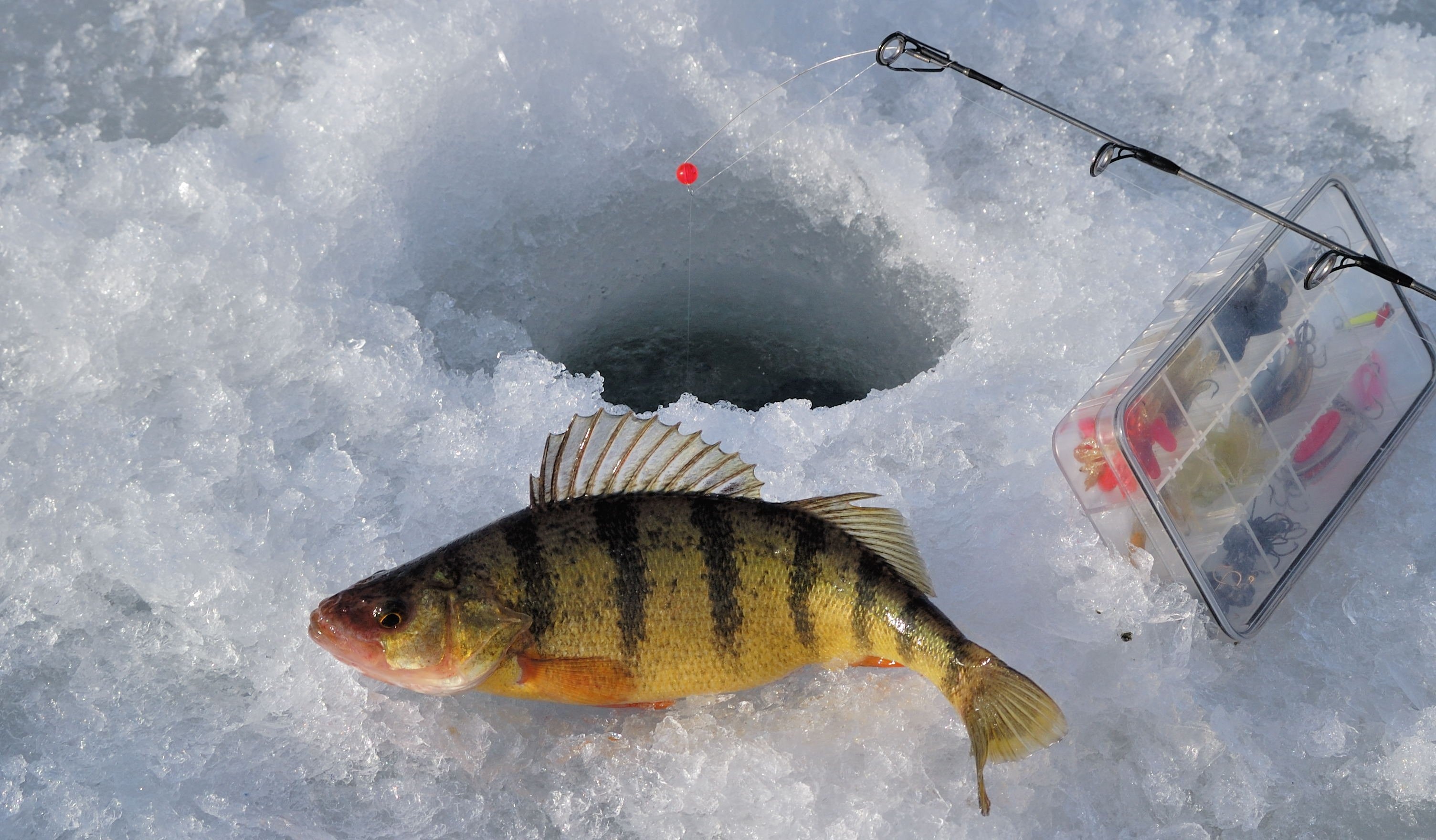 Ice Fishing, Fishing in winter, Frozen water adventure, Tranquil atmosphere, 3010x1760 HD Desktop
