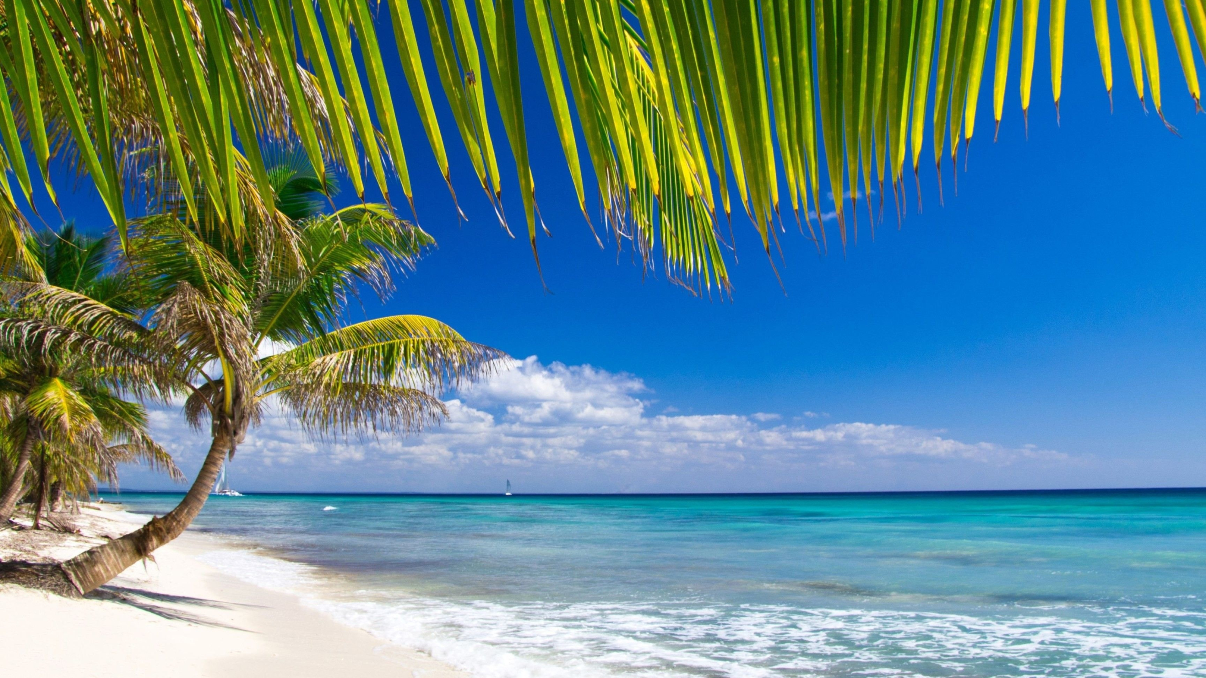 Caribbean beach desktop wallpapers, 4K HD backgrounds, Tropical retreat, Coastal beauty, 3840x2160 4K Desktop