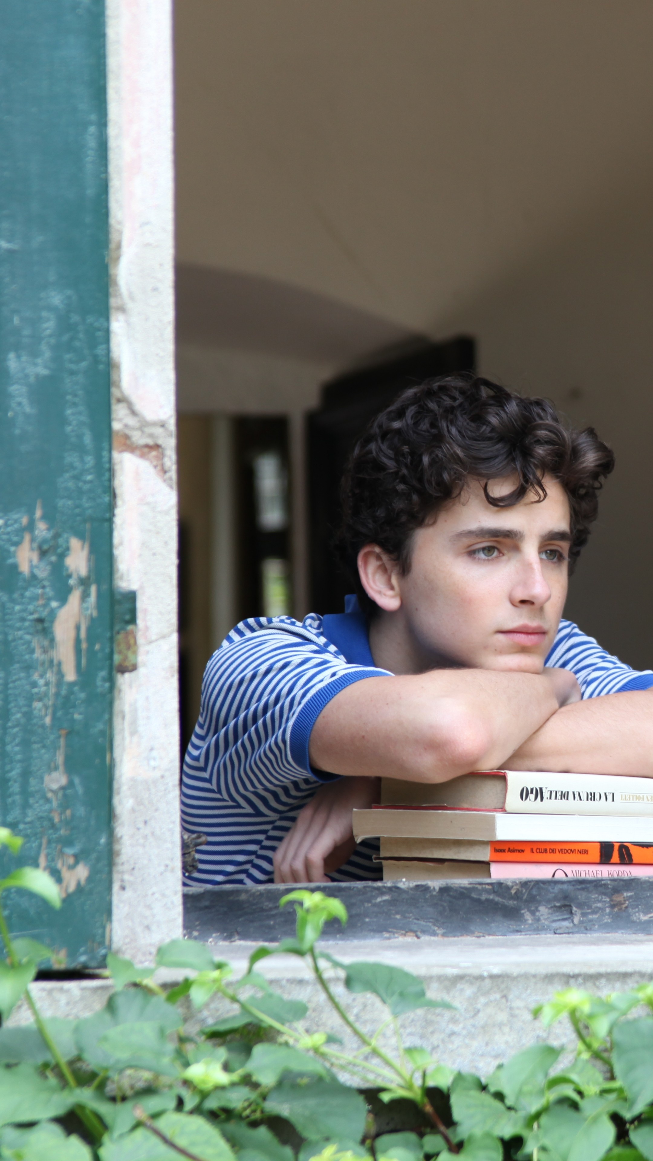 Call Me by Your Name, Timothee Chalamet, Artistic movie still, Emotional tale, 2160x3840 4K Handy