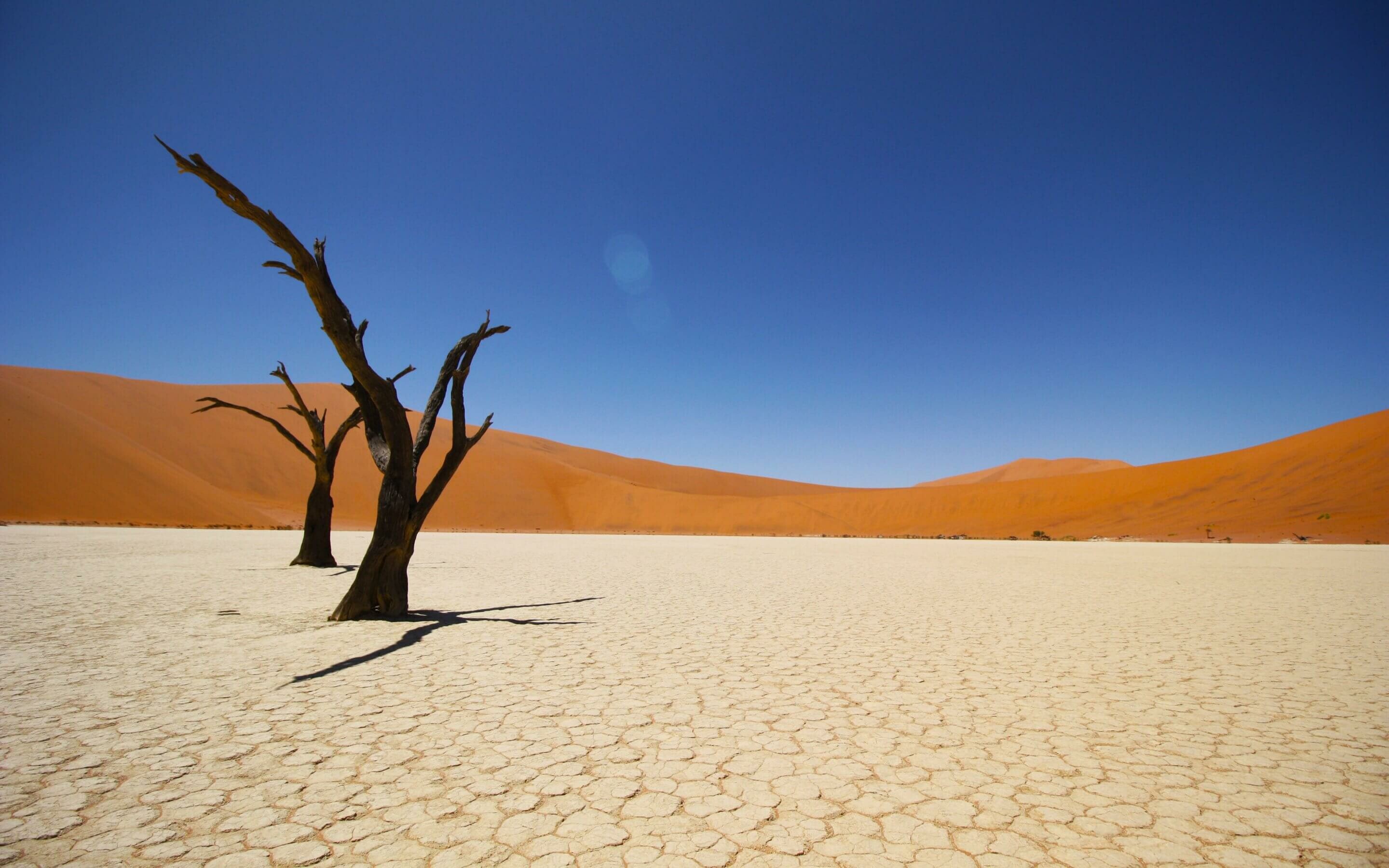 Desert: Namib, A large, dry, barren region. 2880x1800 HD Wallpaper.