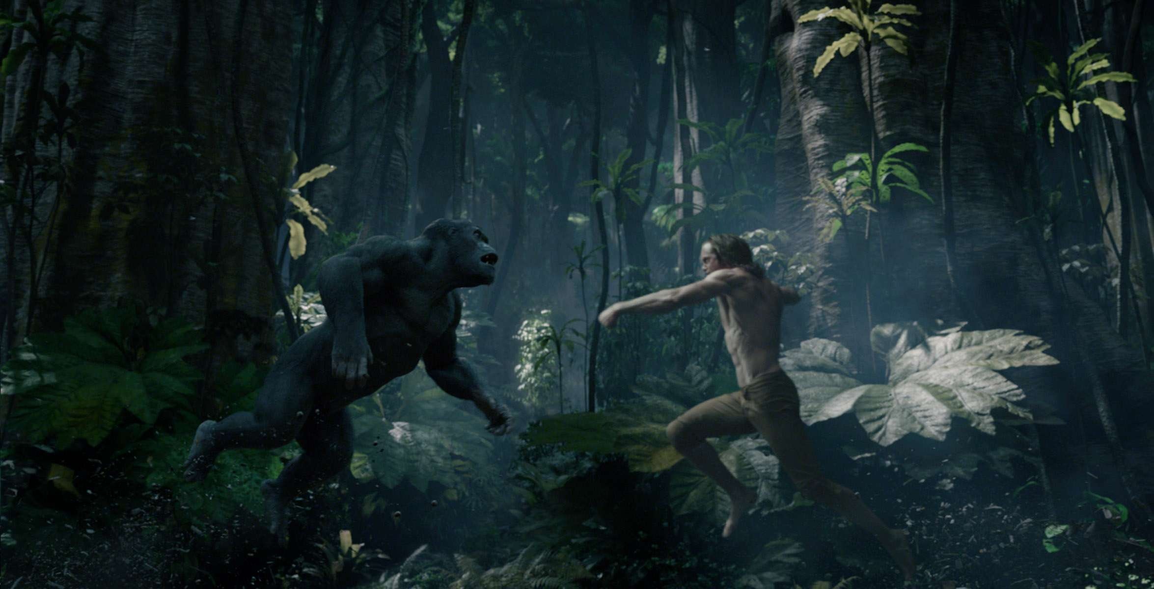 David Yates, The Legend of Tarzan, Special effects, South China Morning Post, 2350x1200 HD Desktop