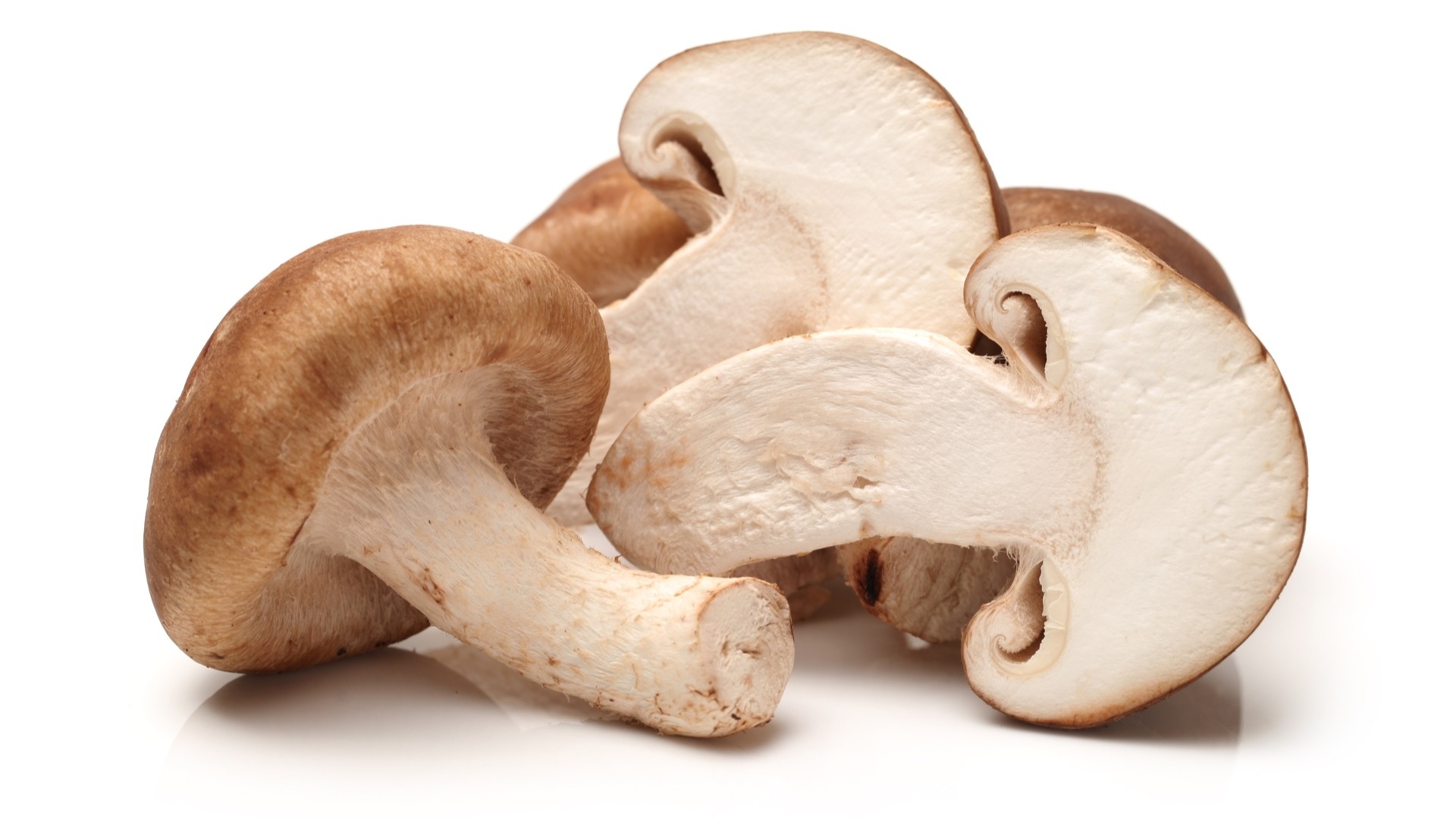 Archaeology of mushrooms, Shiitake, Chefs mandala, Mushrooms, 1920x1080 Full HD Desktop