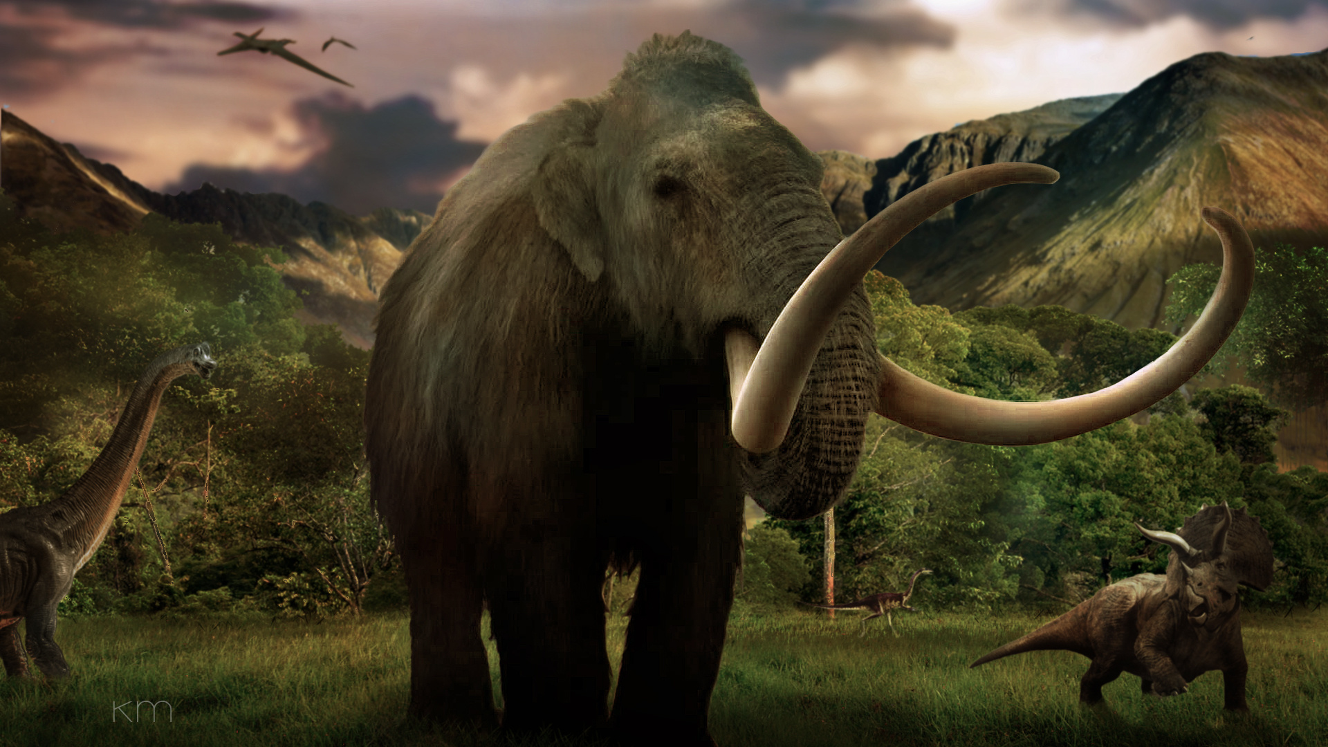 10 mammoth wallpapers, Top free mammoth, Free mammoth backgrounds, Mammoth HD wallpapers, 1920x1080 Full HD Desktop