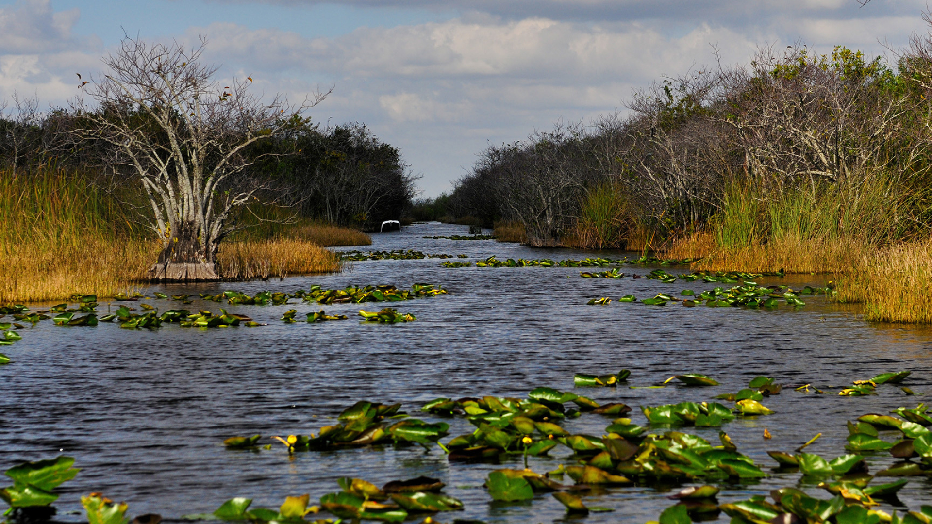 Einen Besuch im Everglades-Nationalpark planen, 1920x1080 Full HD Desktop