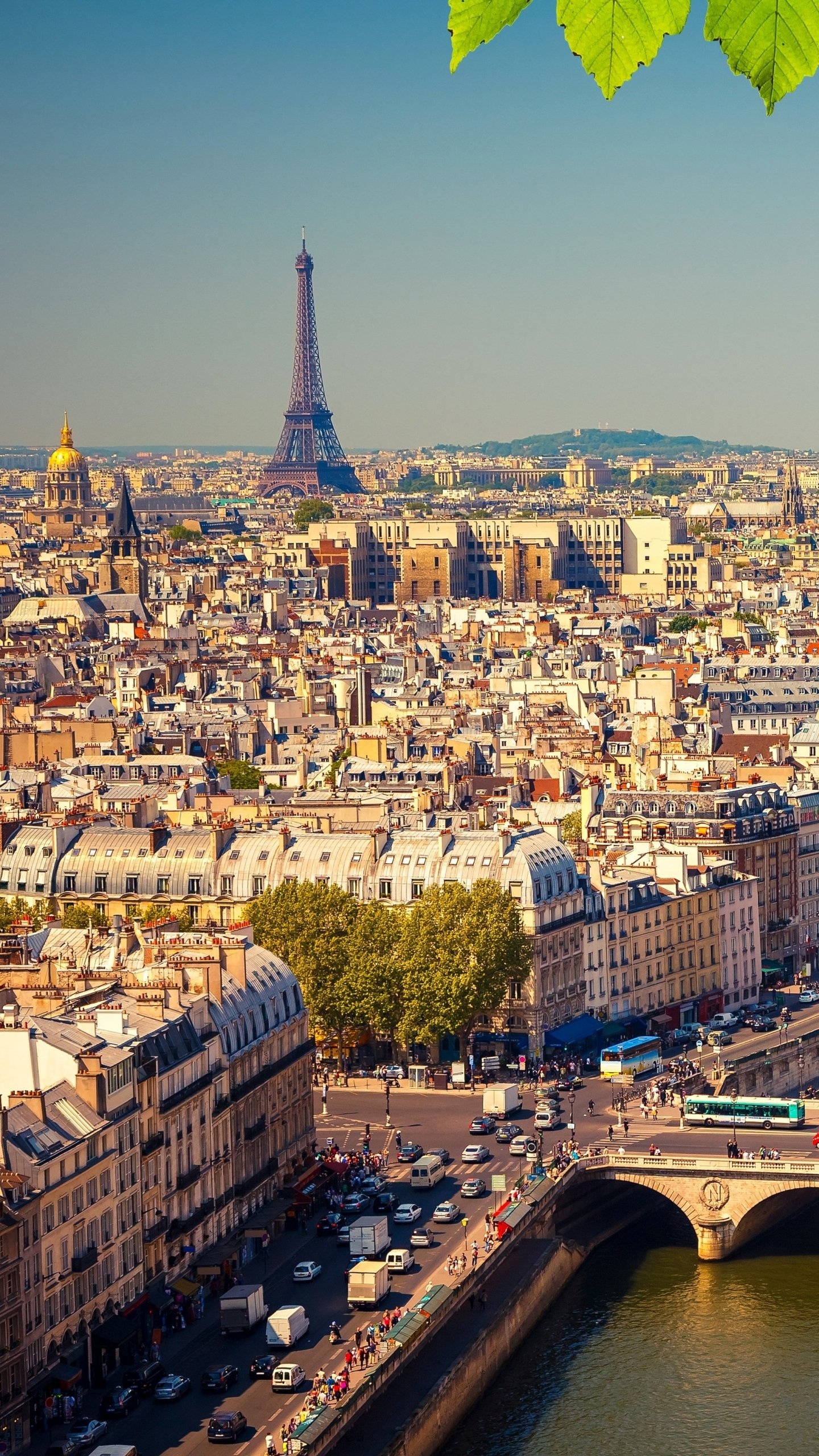 Paris: The center of the French economy, politics, traffic, and culture. 1440x2560 HD Background.