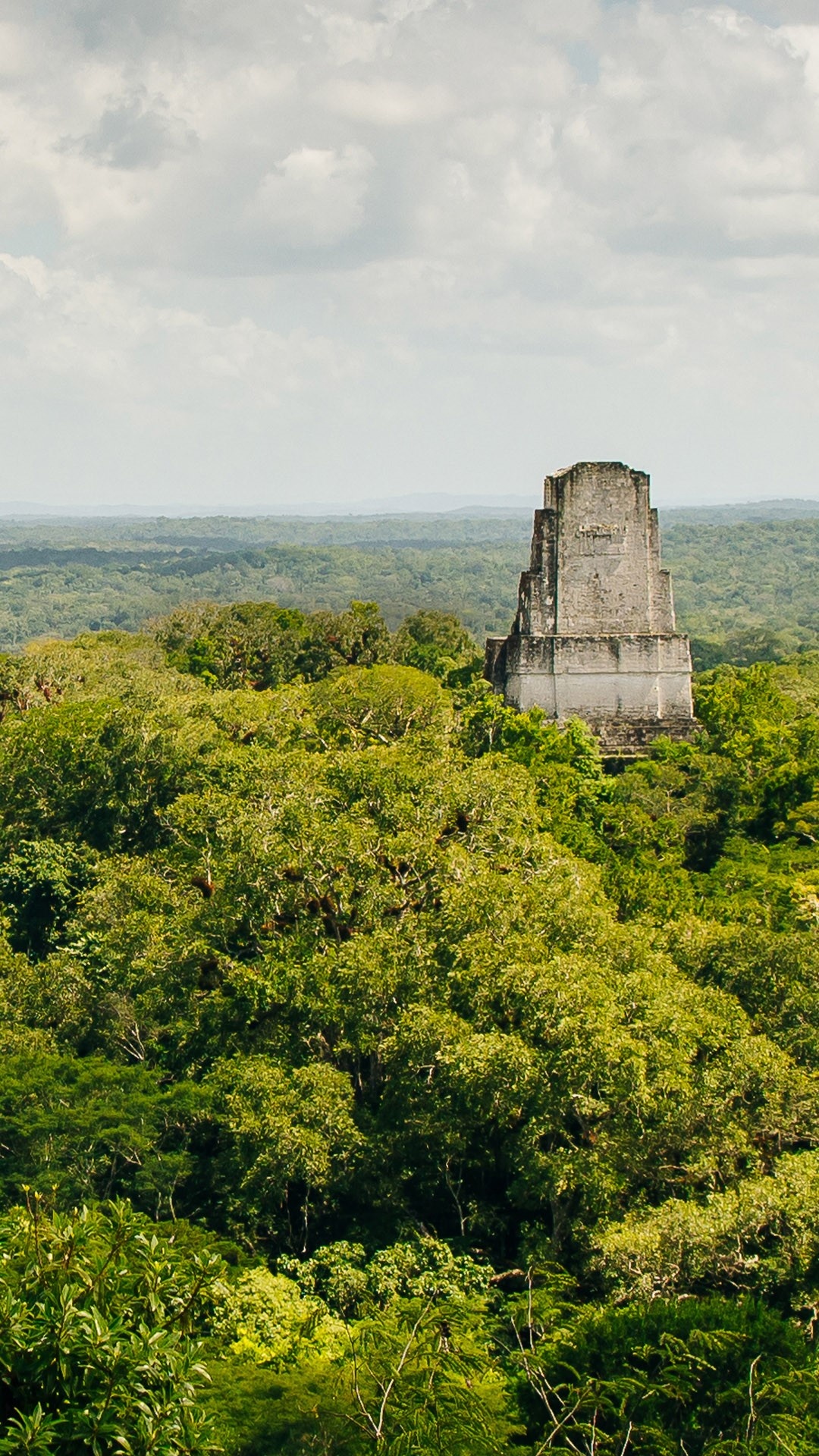 Tikal National Park, Rainforest ruins, Guatemalan wonders, Windows 10 spotlight, 1080x1920 Full HD Phone