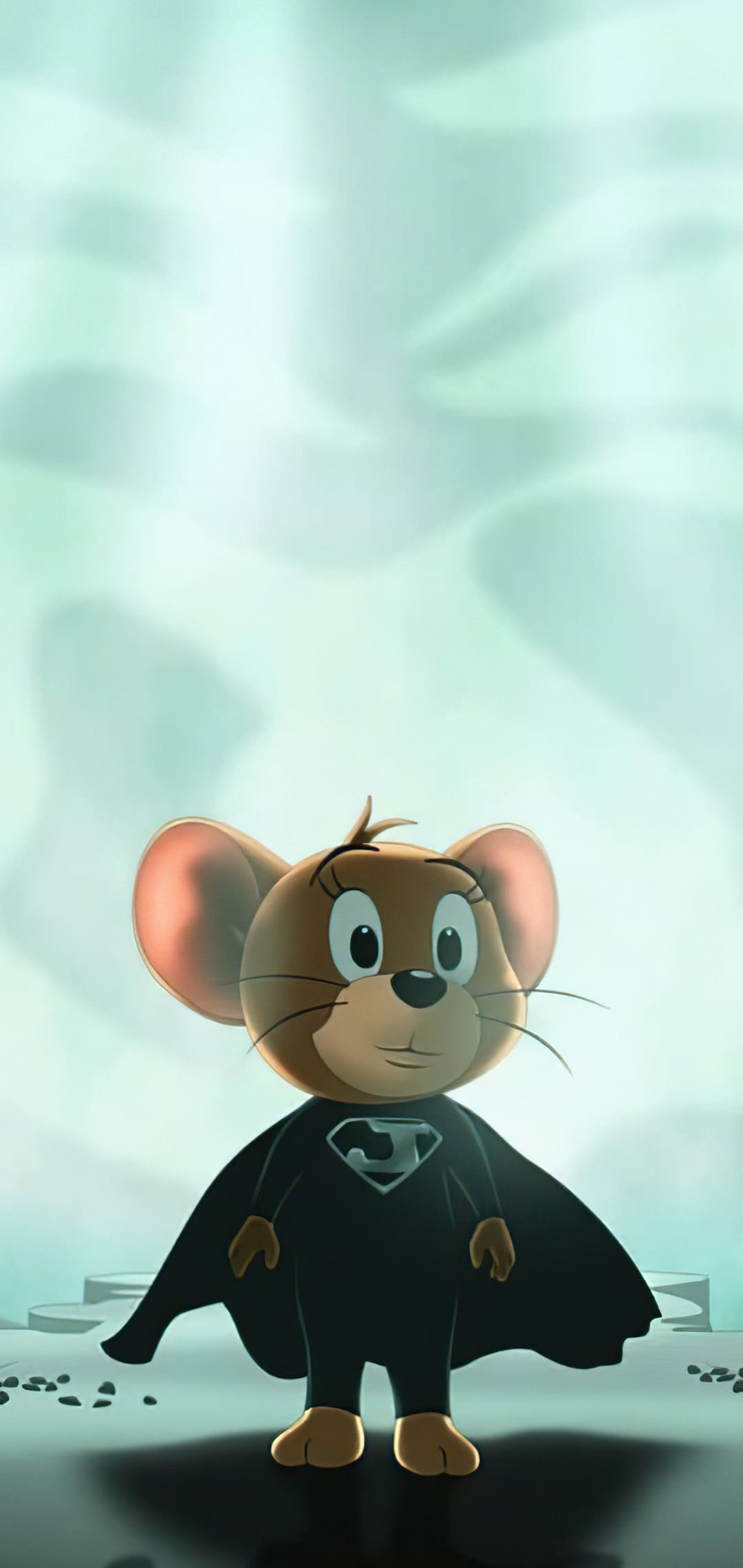 Tom and Jerry, Best wallpapers download, 2021, 1080x2280 HD Handy