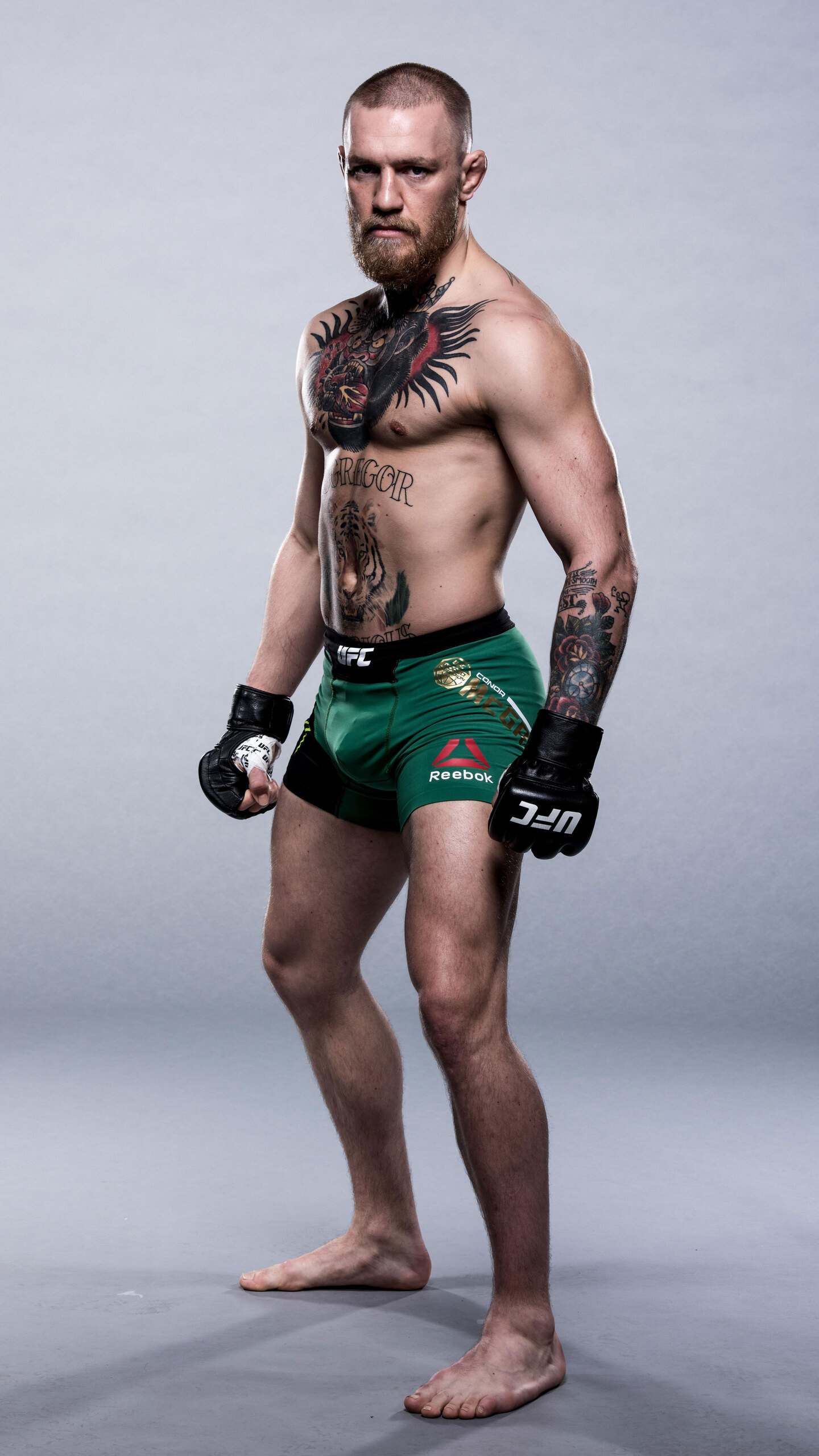 Combat Sports: Conor McGregor, Born in Crumlin, Dublin, UFC Lightweight Championship. 1440x2560 HD Background.