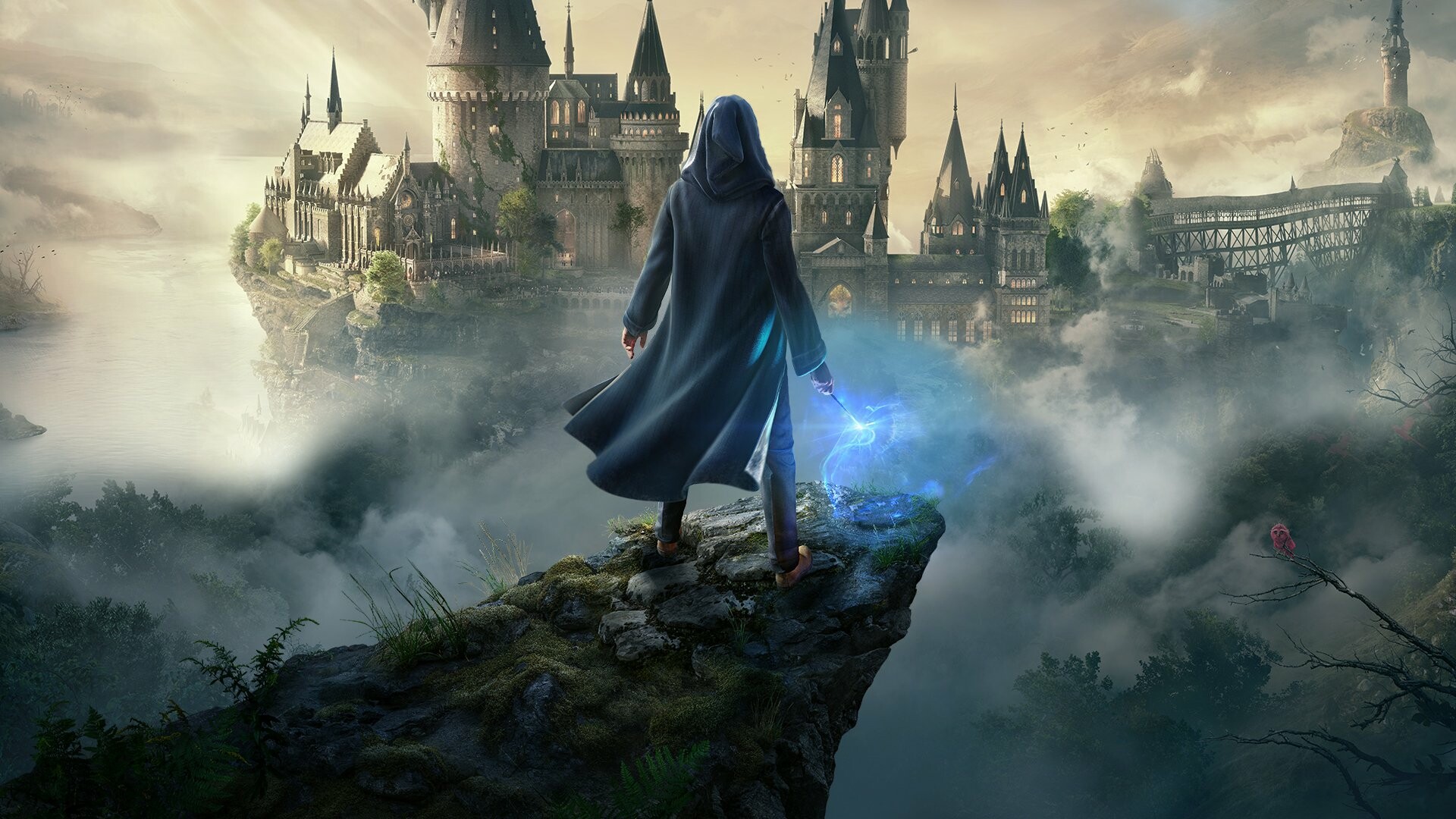 Hogwarts Legacy: Published by Warner Bros. Interactive Entertainment under the Portkey Games label. 1920x1080 Full HD Wallpaper.