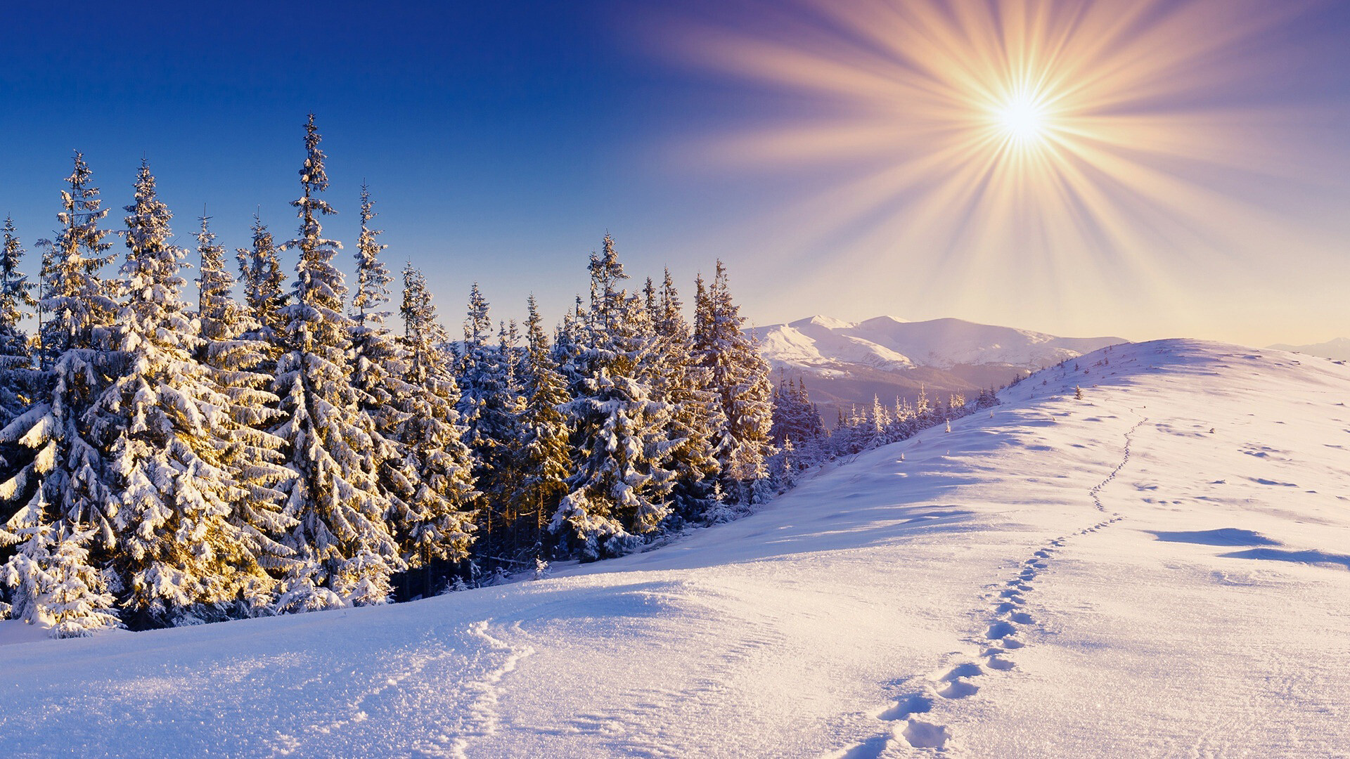 Winter sun, Soft glow, Frosty landscape, Seasonal warmth, 1920x1080 Full HD Desktop