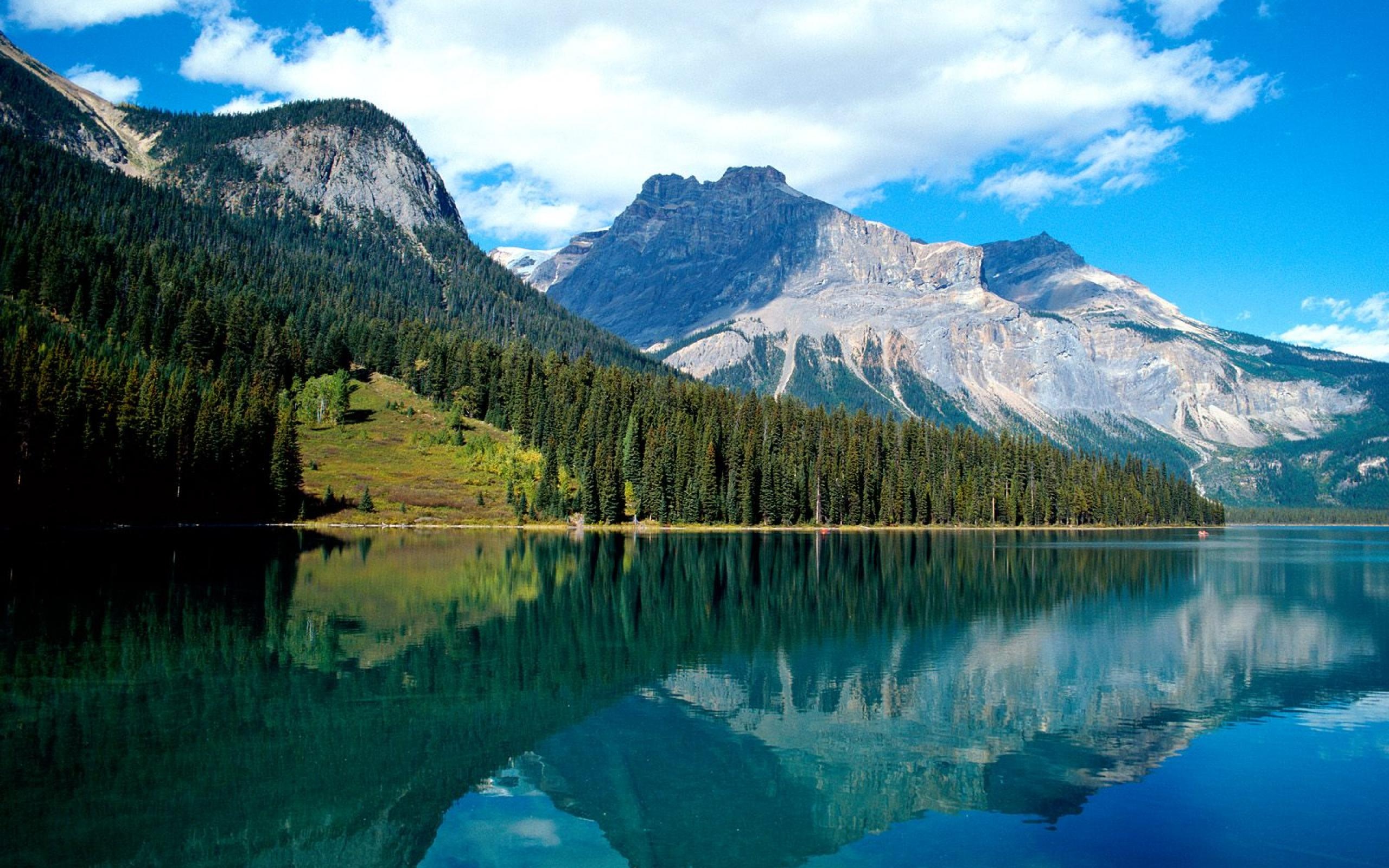 Lake Louise, Serene beauty, Captivating landscape, Pristine nature, 2560x1600 HD Desktop