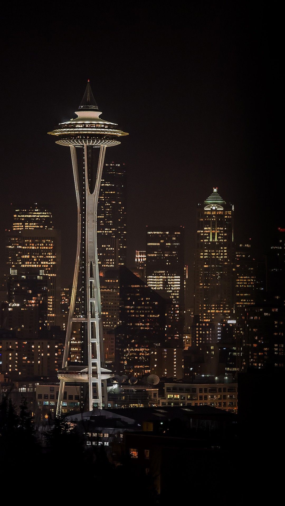 Seattle Skyline, Nighttime city charm, Urban beauty, Breathtaking view, 1080x1920 Full HD Phone
